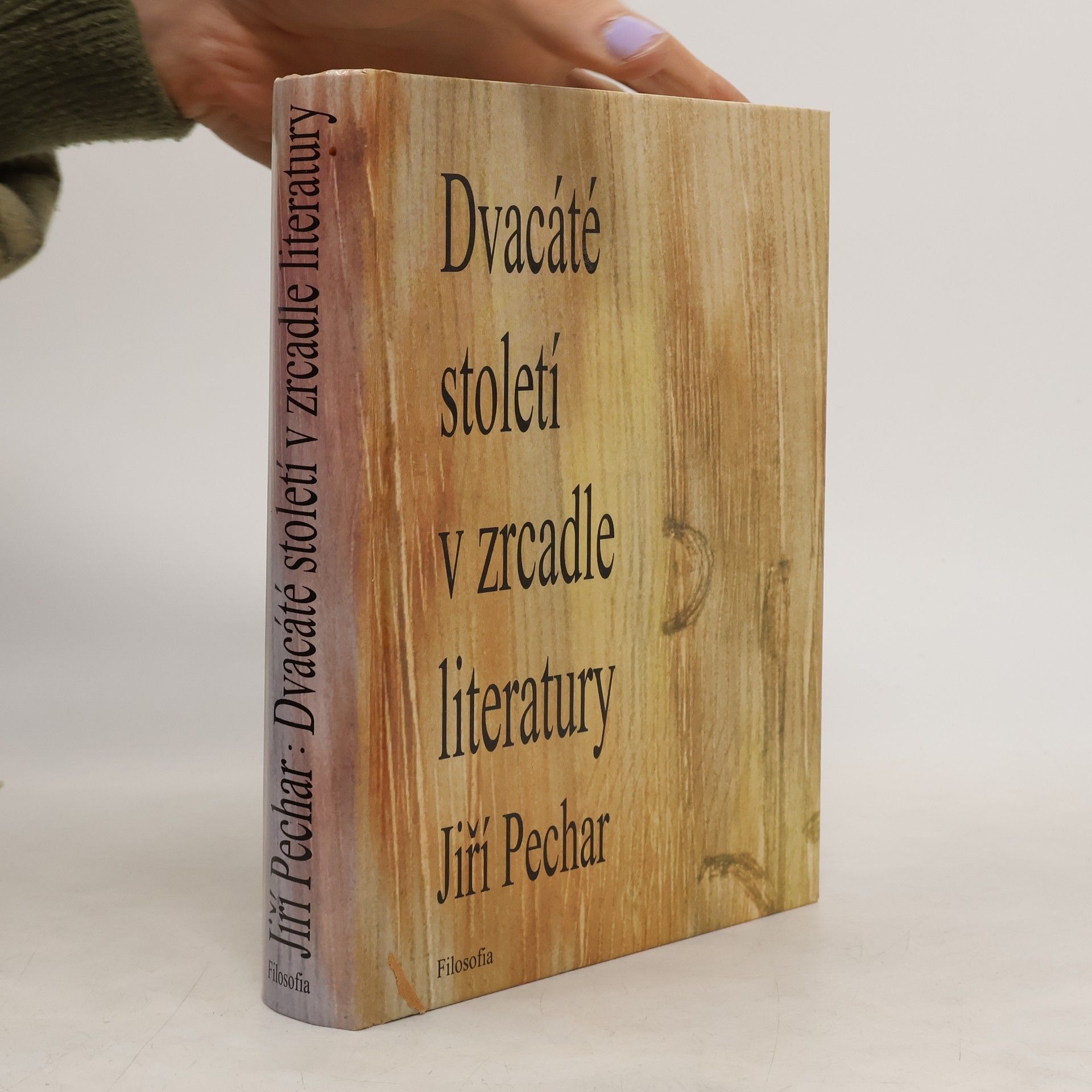 Jiří Pechar Dvacáté století v zrcadle literatury