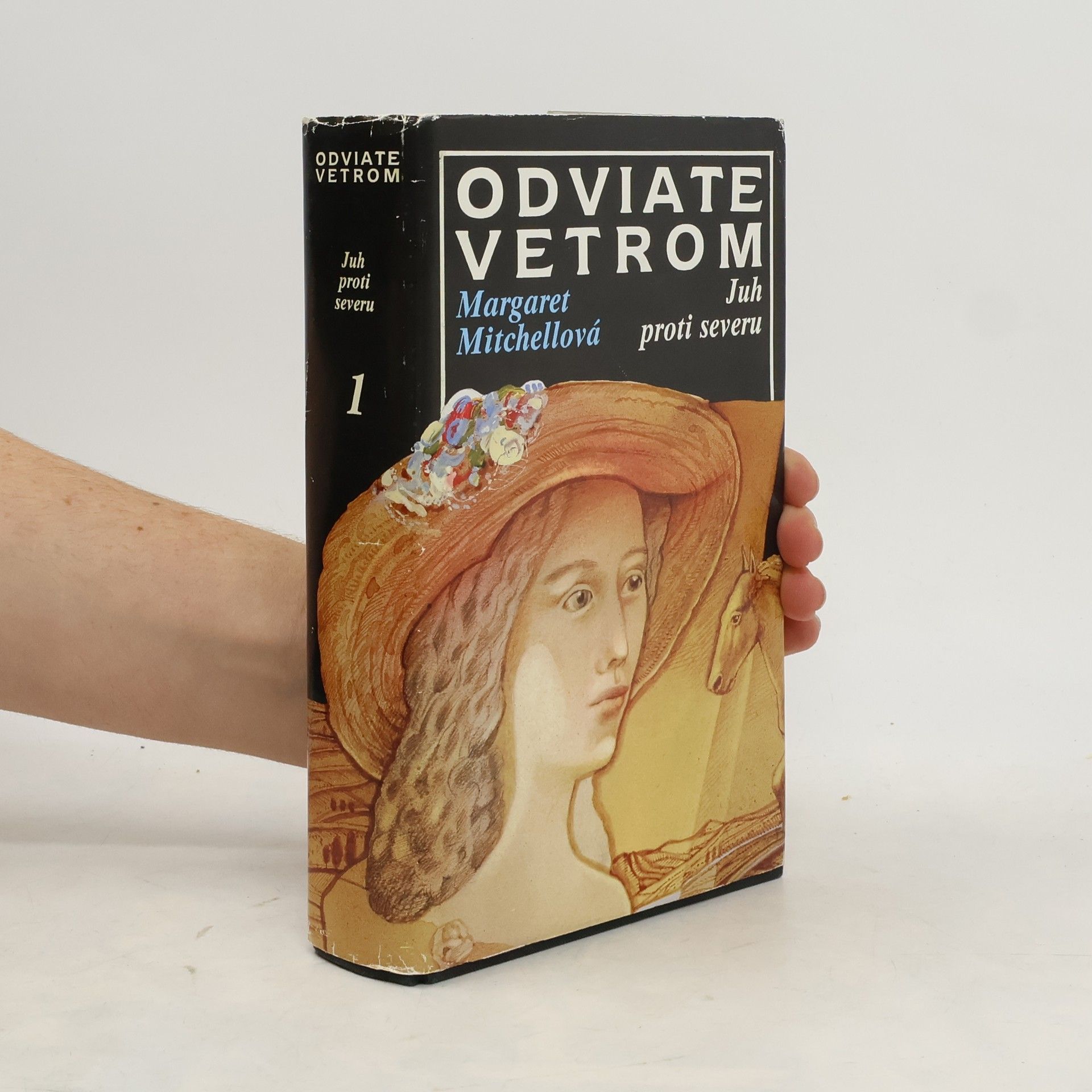 Margaret Mitchell Odviate vetrom 1. Juh proti severu