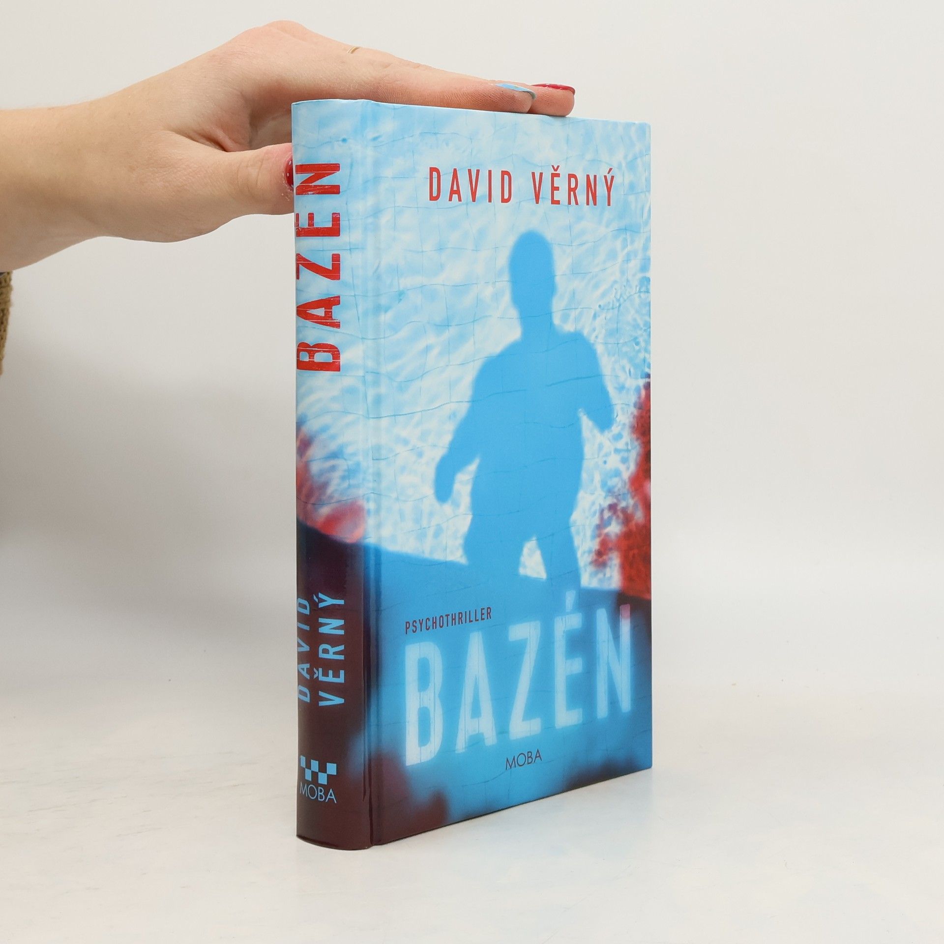 David Věrný Bazén