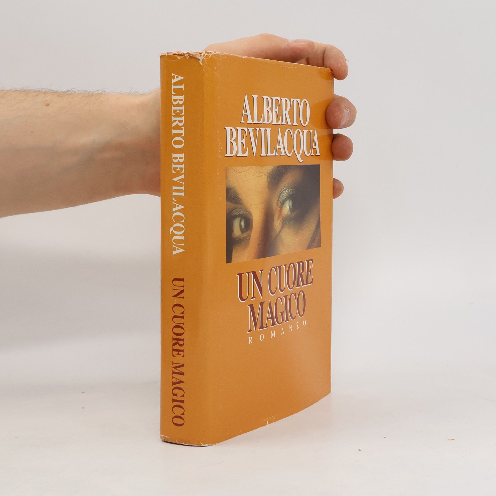 Alberto Bevilacqua Un cuore magico