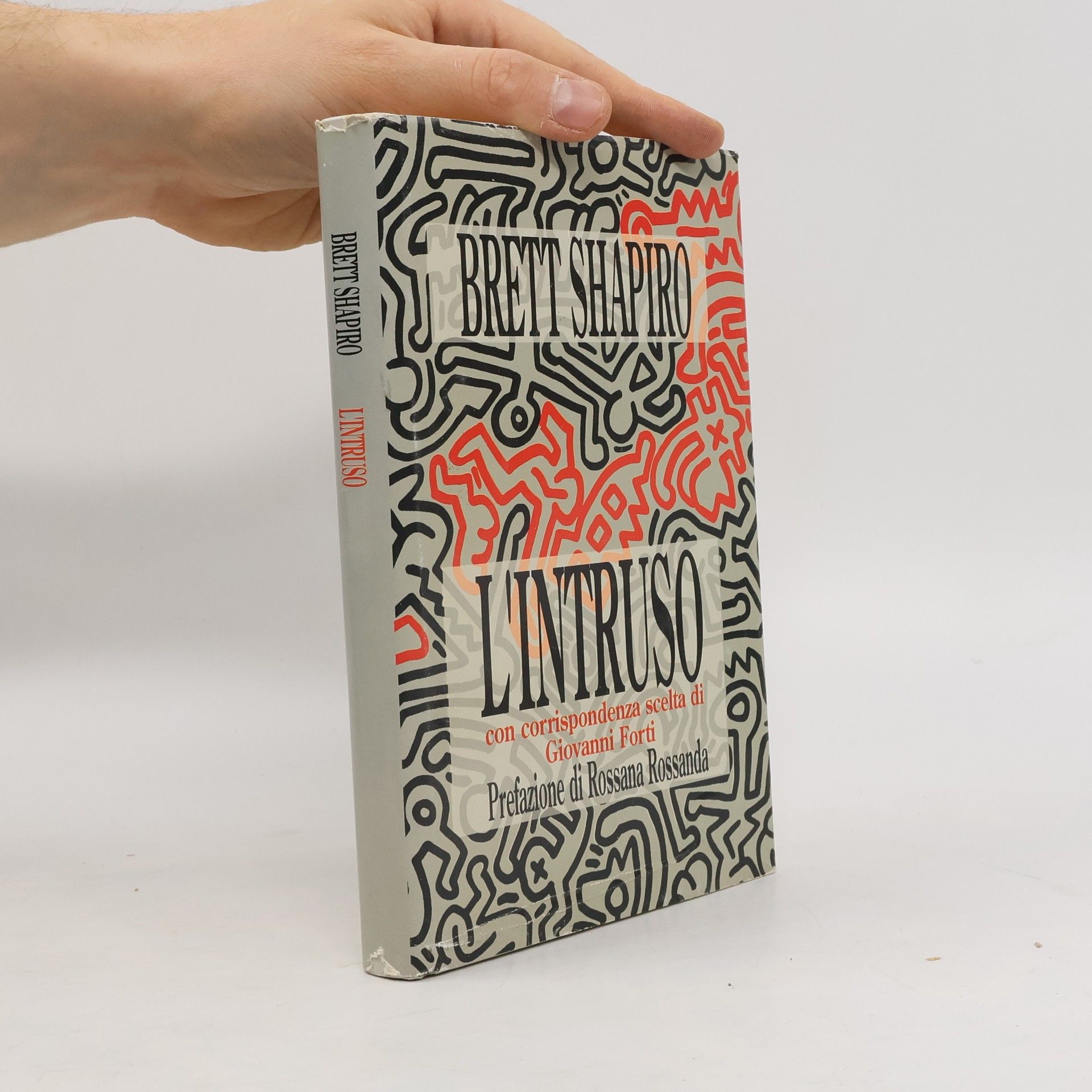 Brett Shapiro L'intruso