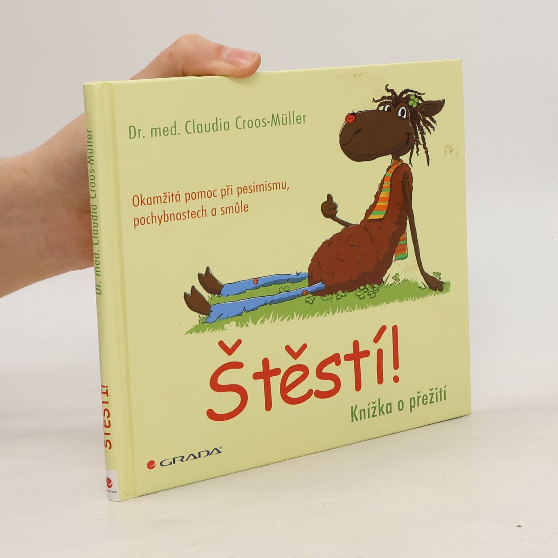 Štěstí! : knížka o přežití : Okamžitá pomoc při pesimismu, pochybnostech a smůle