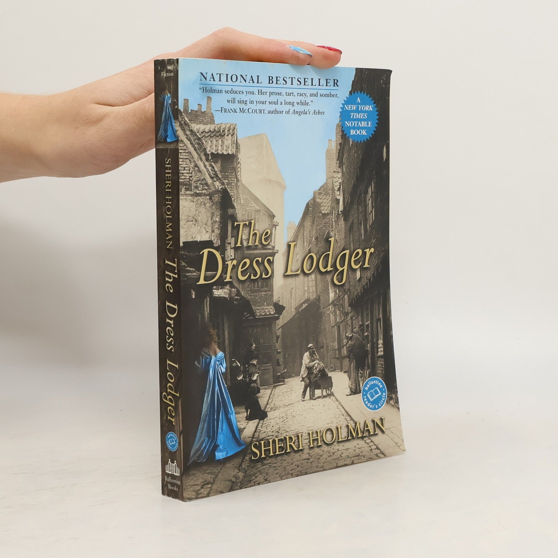 Sheri Holman The Dress Lodger