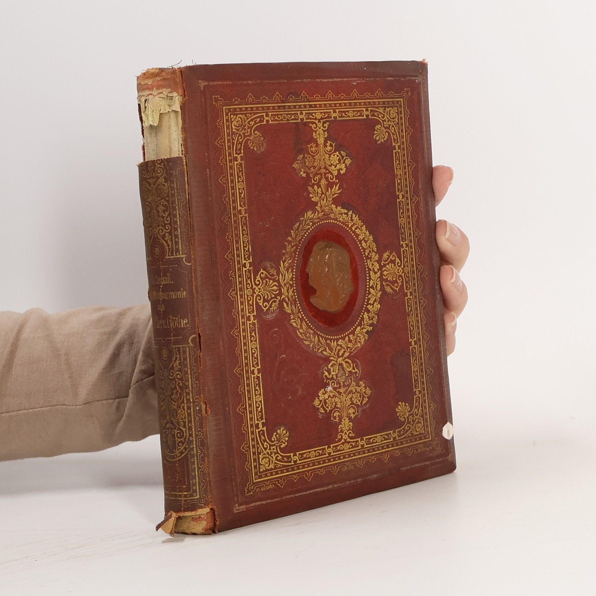 Johann Wolfgang von Goethe Gedankenharmonie aus Goethe und Schiller