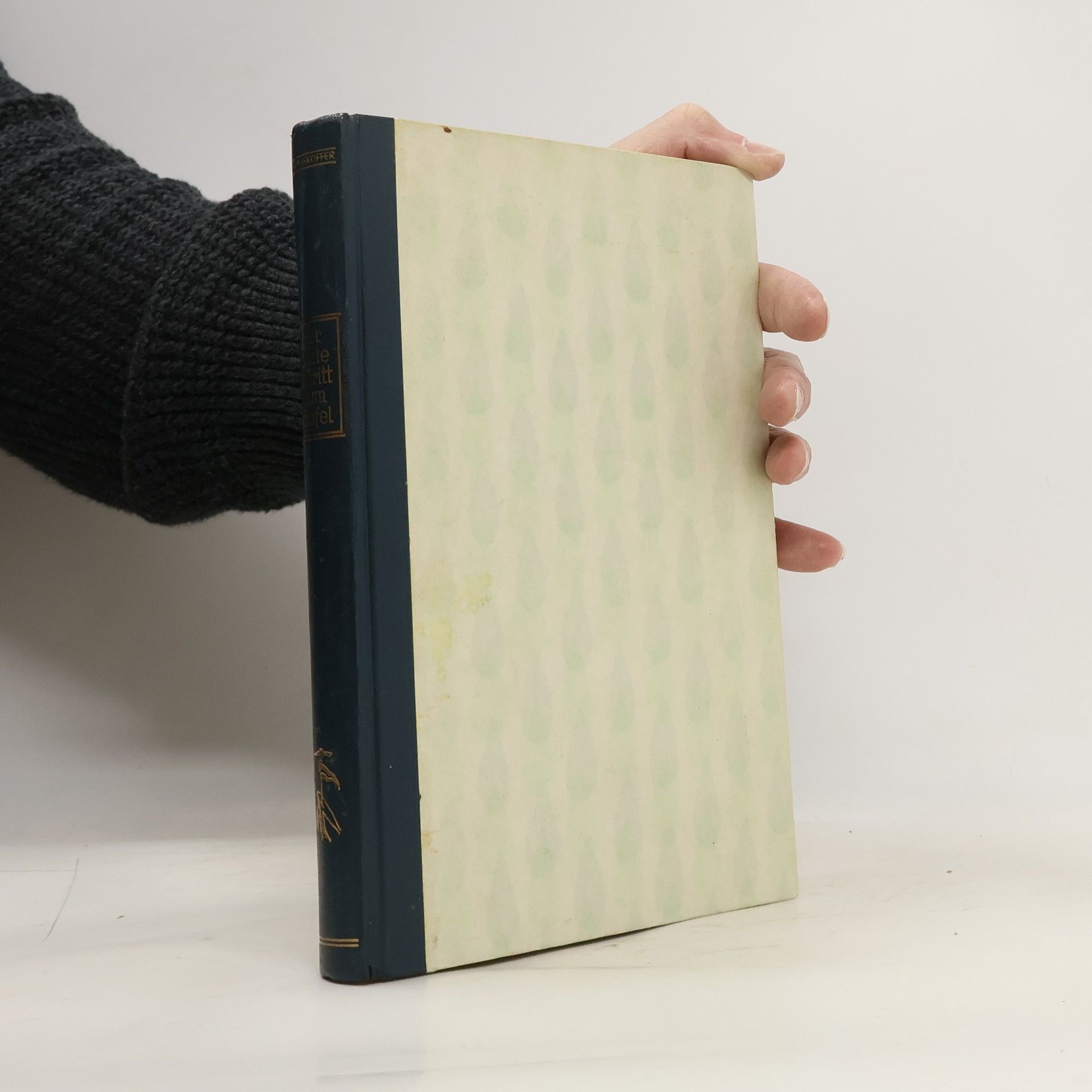 Der letzte Schritt zum Gipfel