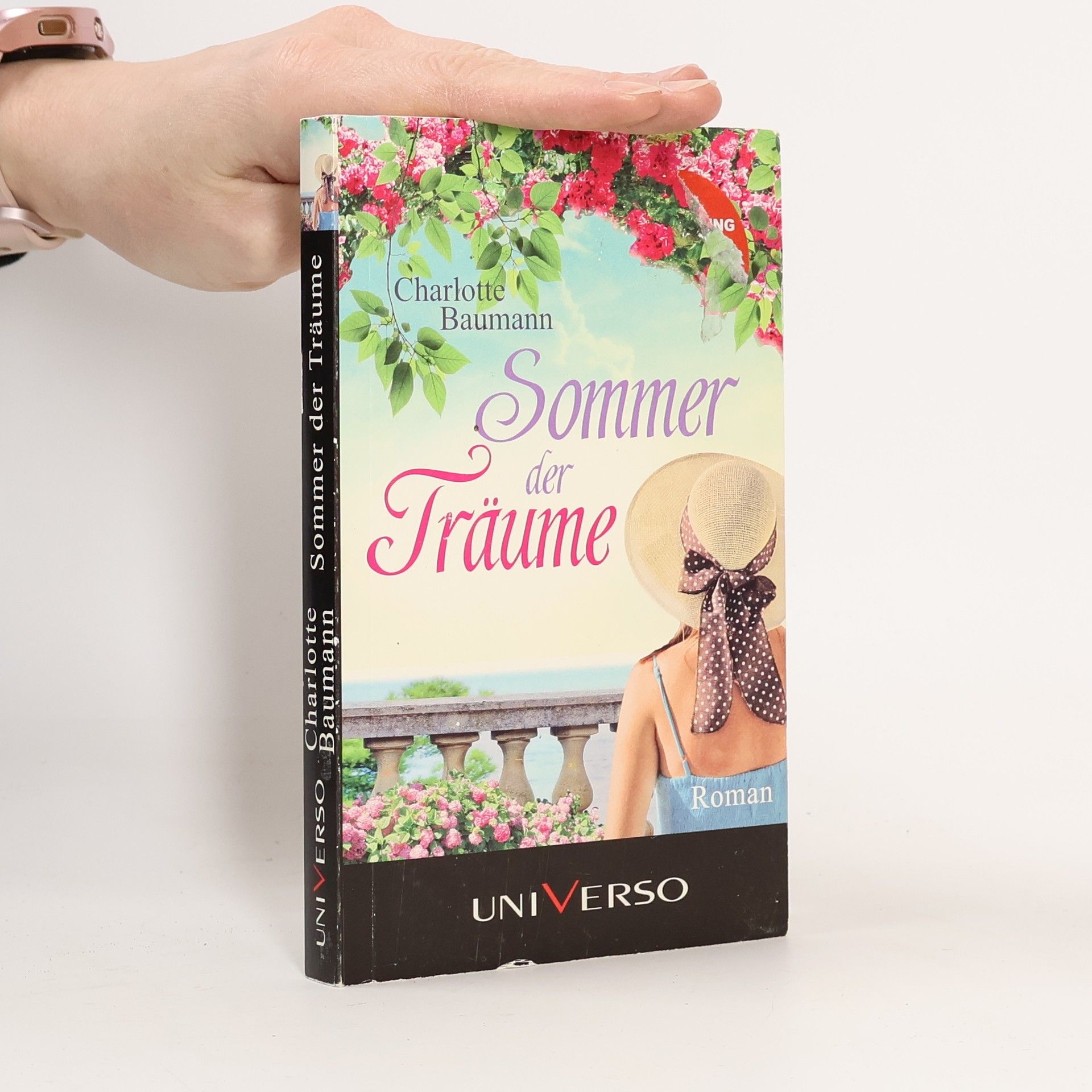 Charlotte Baumann Sommer der Träume