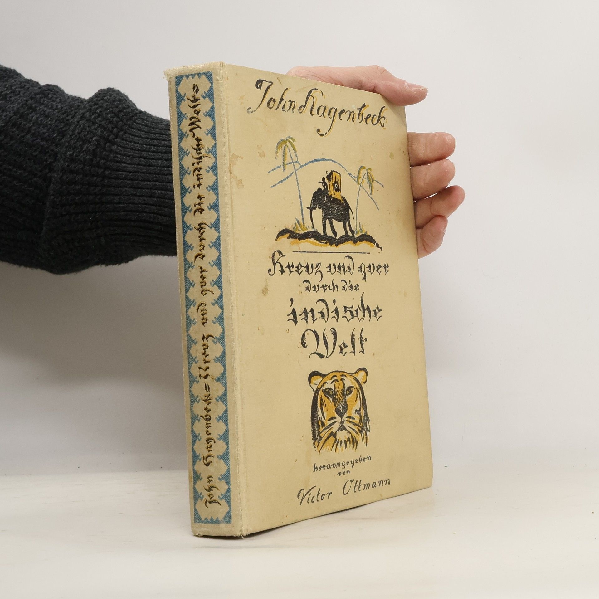 Kreuz und quer durch die indische Welt