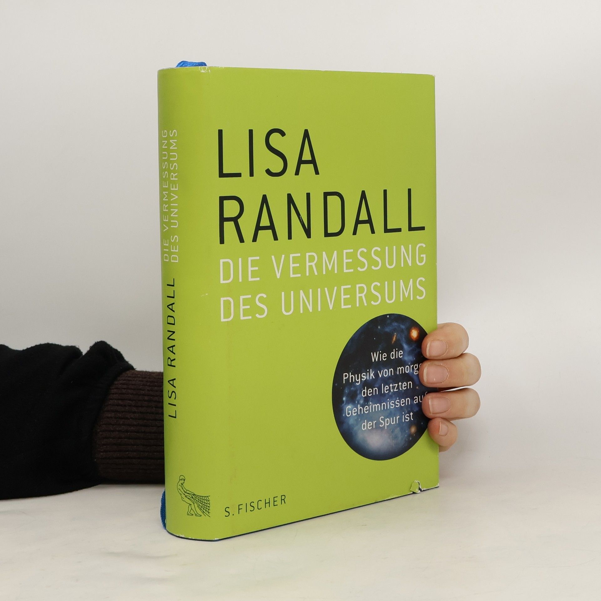 Lisa Randall Die Vermessung des Universums