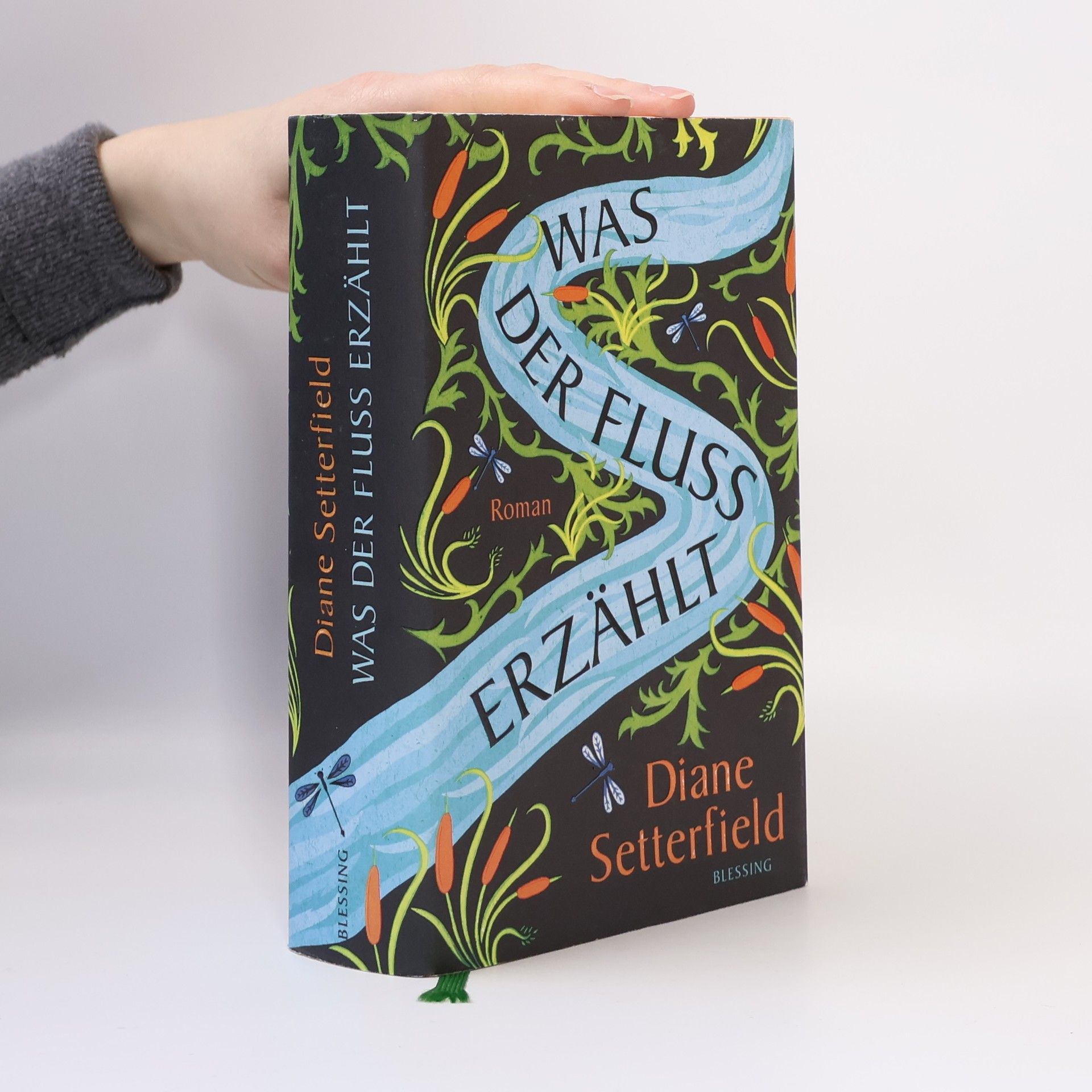 Diane Setterfield Was der Fluss erzählt