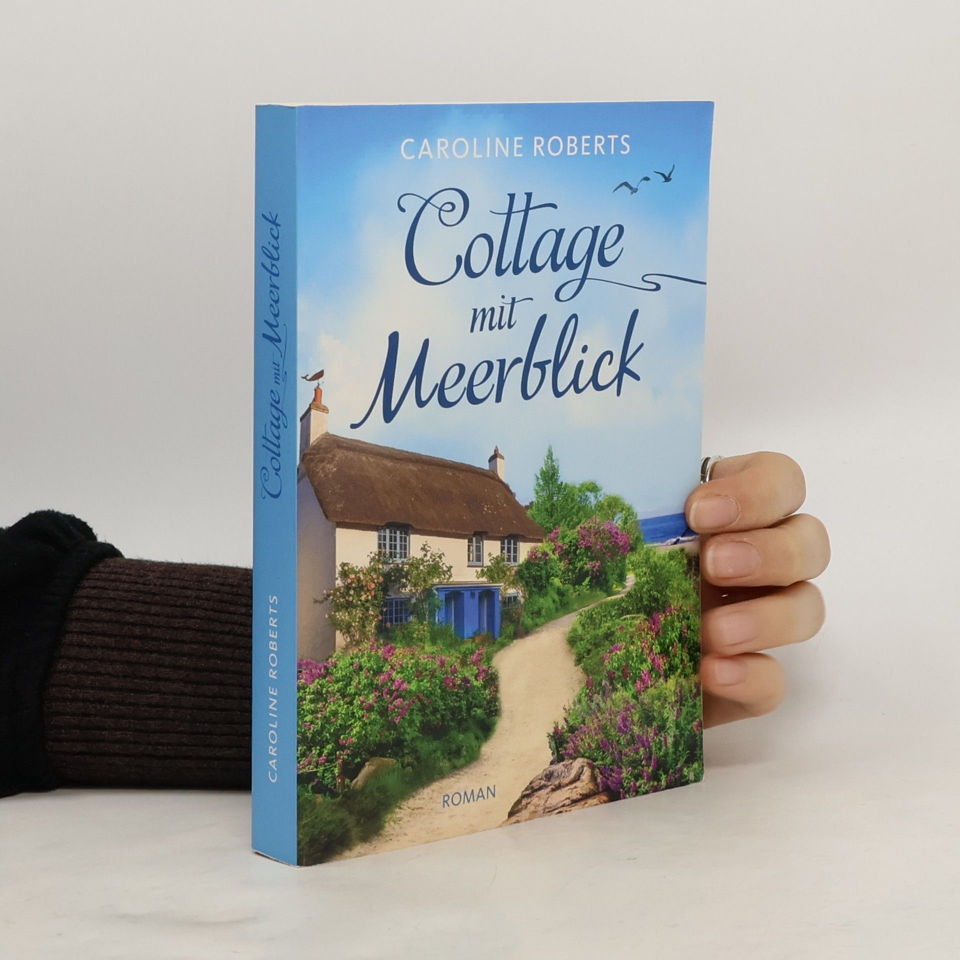 Cottage mit Meerblick