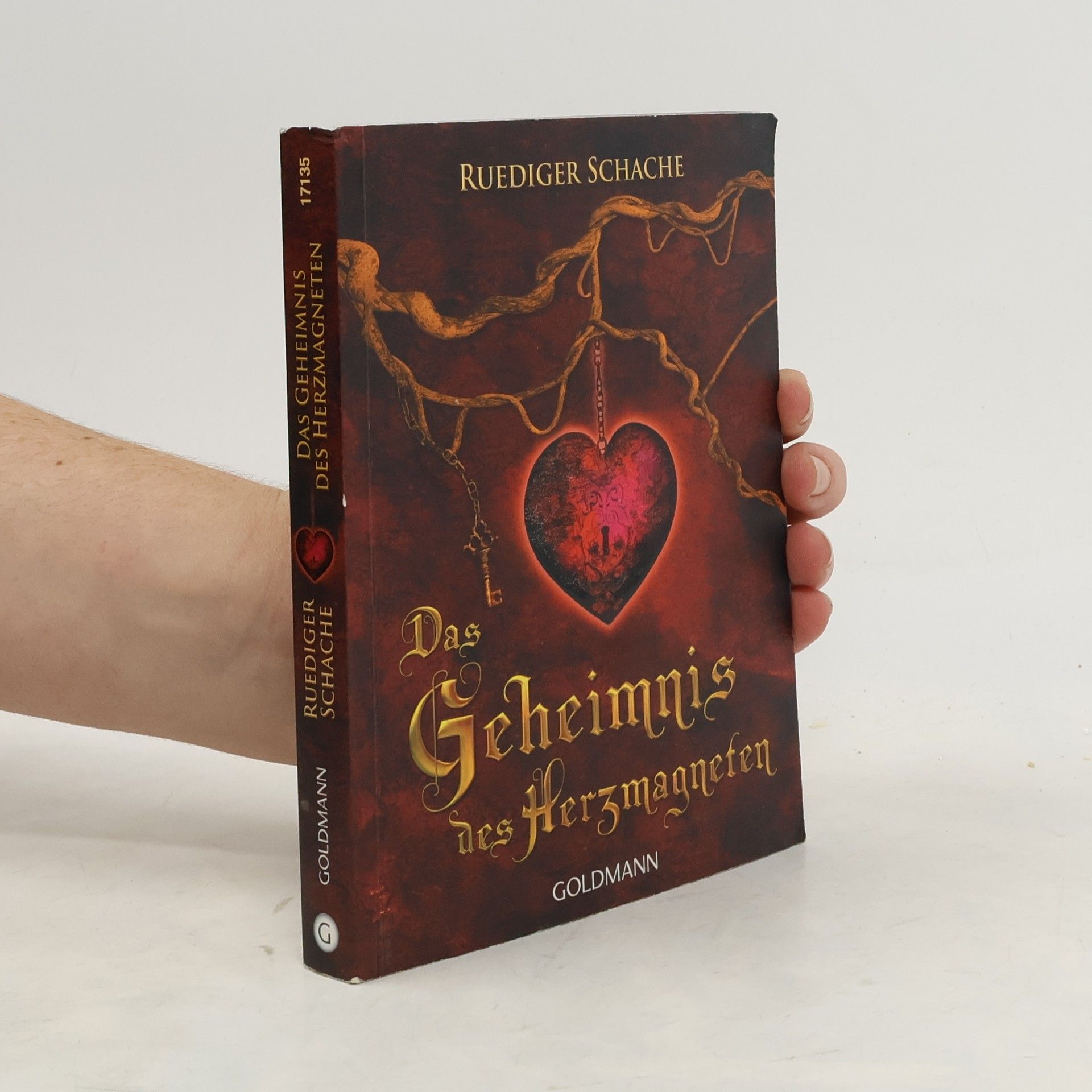 Ruediger Schache Das Geheimnis des Herzmagneten
