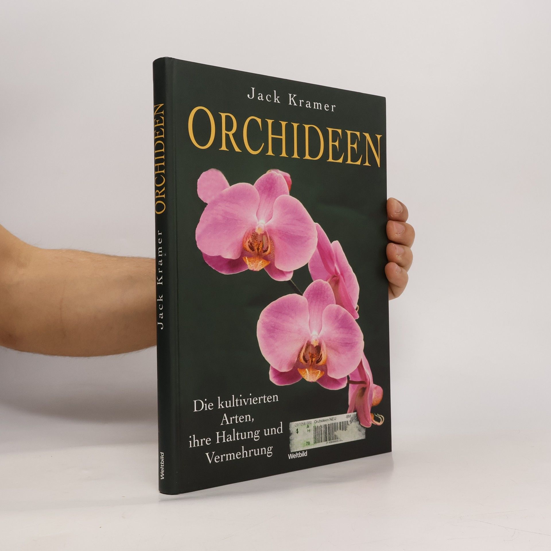 Orchideen