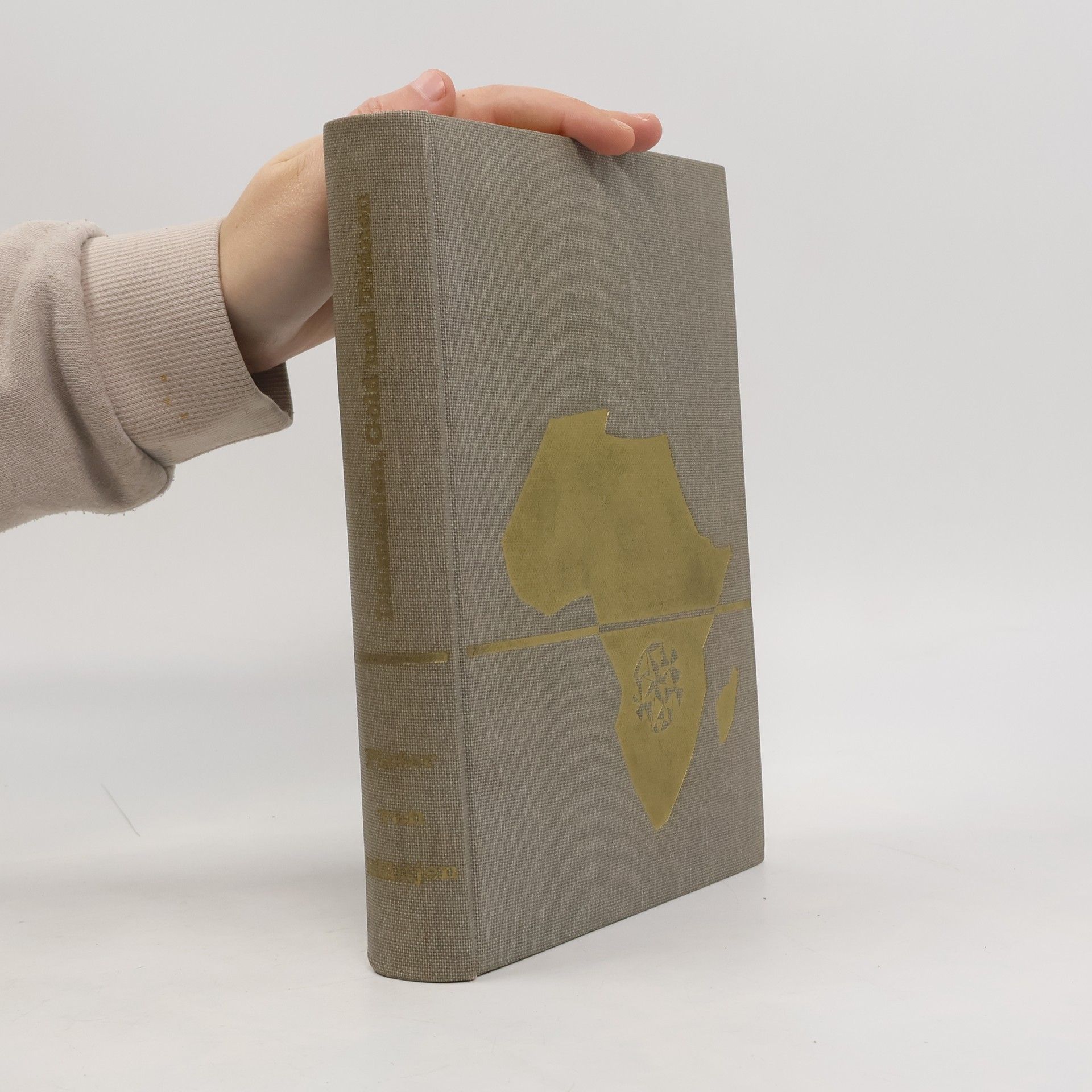 Pieter van Blättjen Diamanten, Gold und Tränen: Ein Afrikabuch