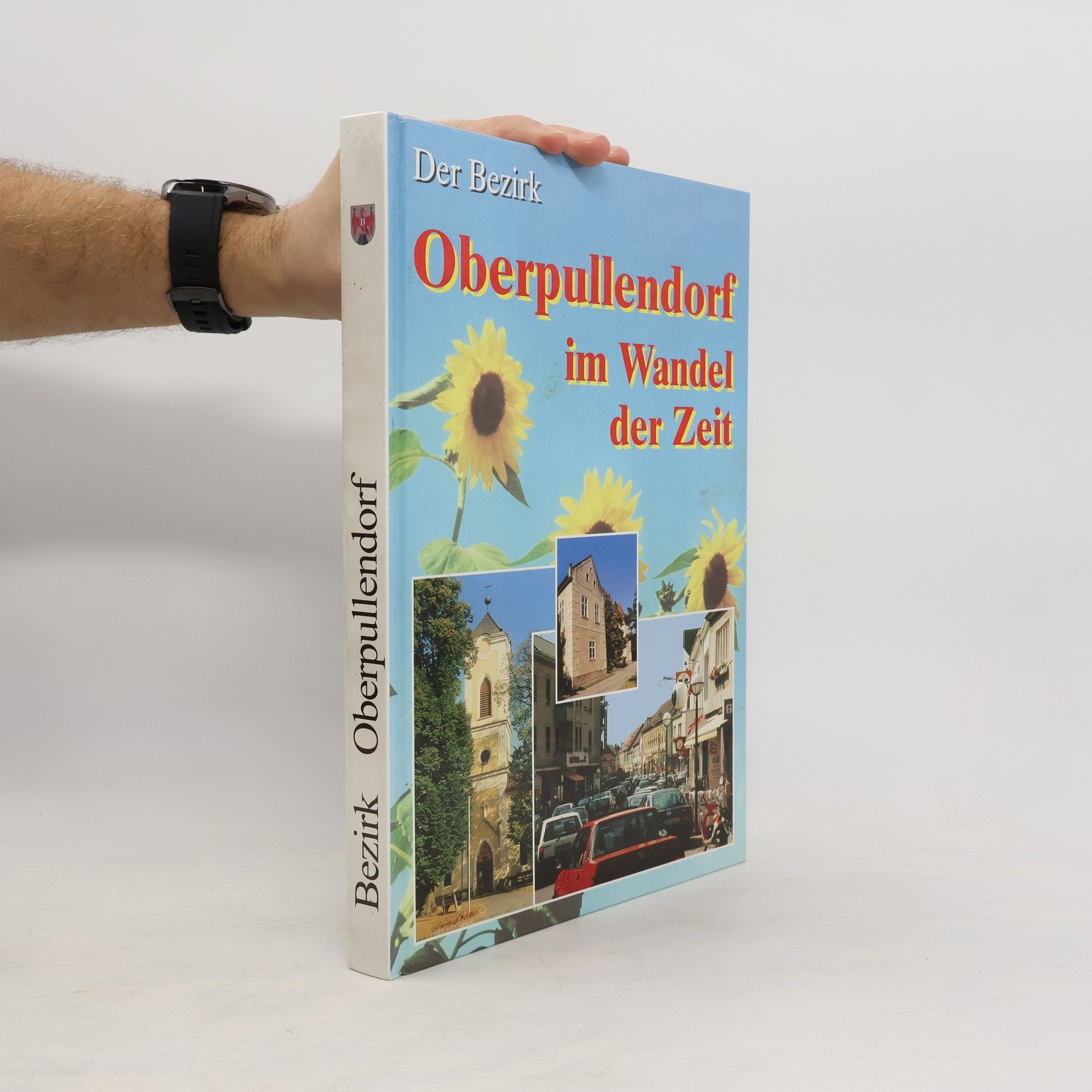 AA.VV. Oberpullendorf im Wandel der Zeit