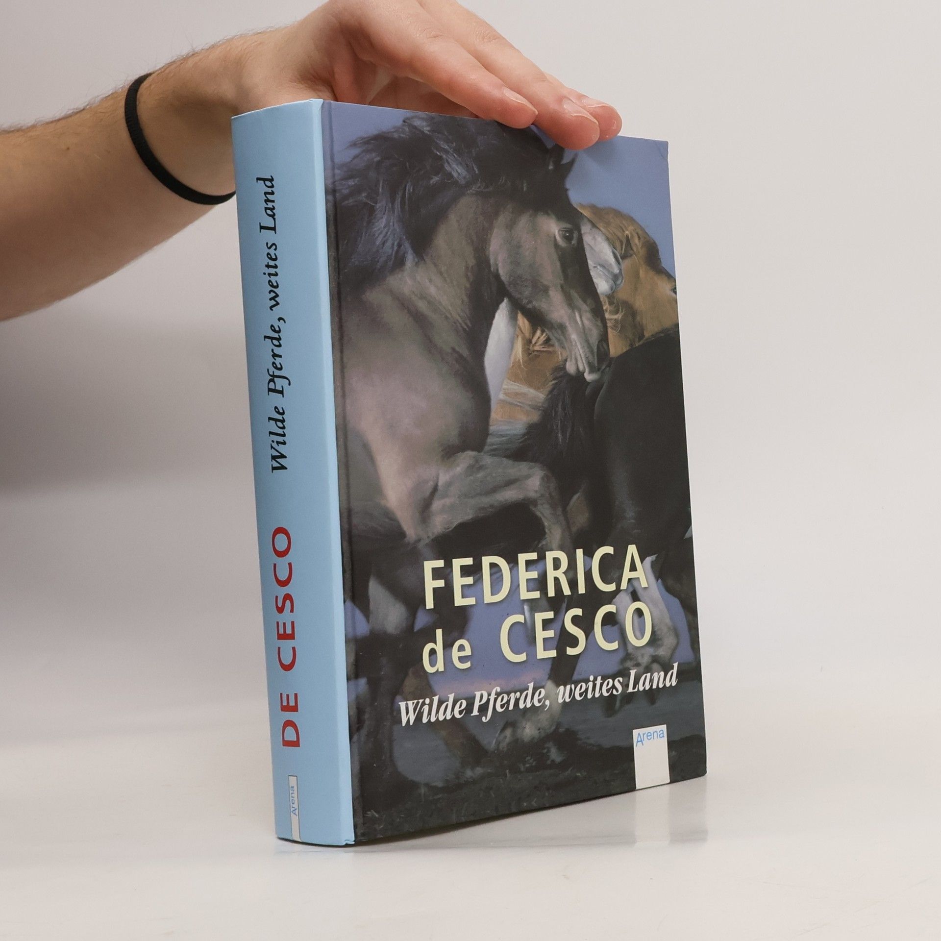 Federica de Cesco Wilde Pferde, weites Land