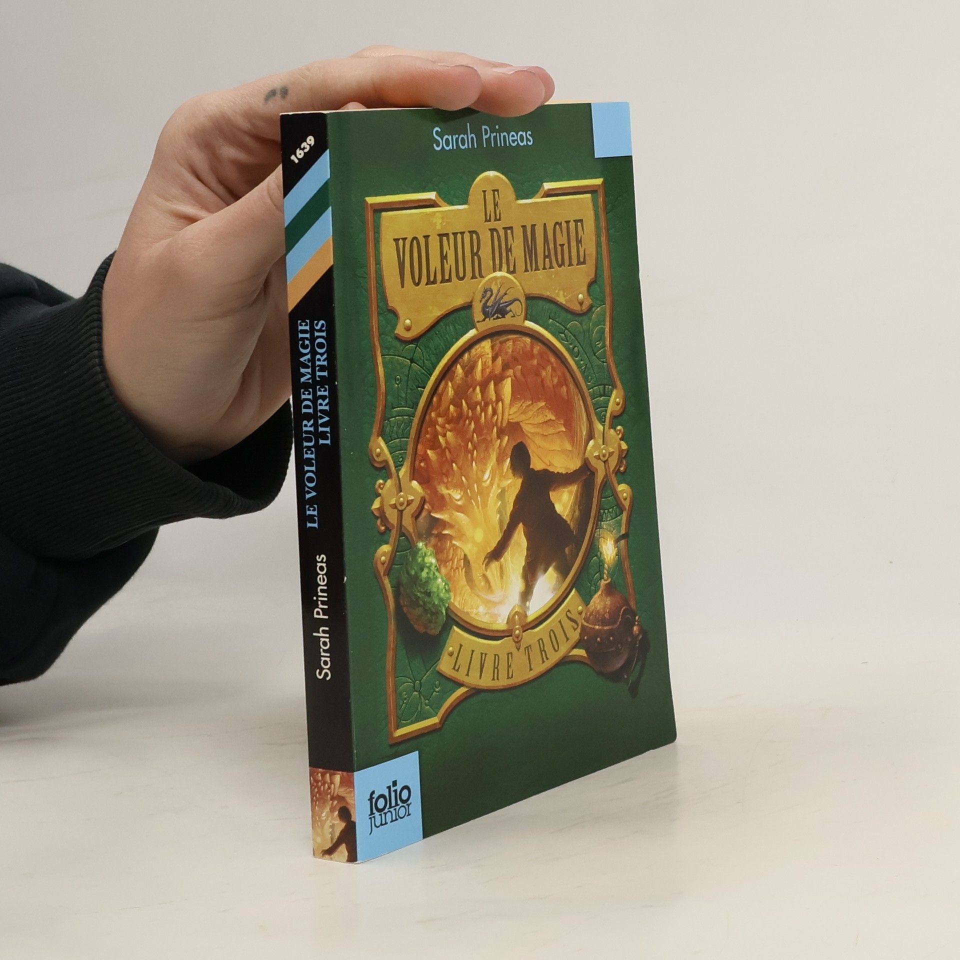 Sarah Prineas Le Voleur de magie