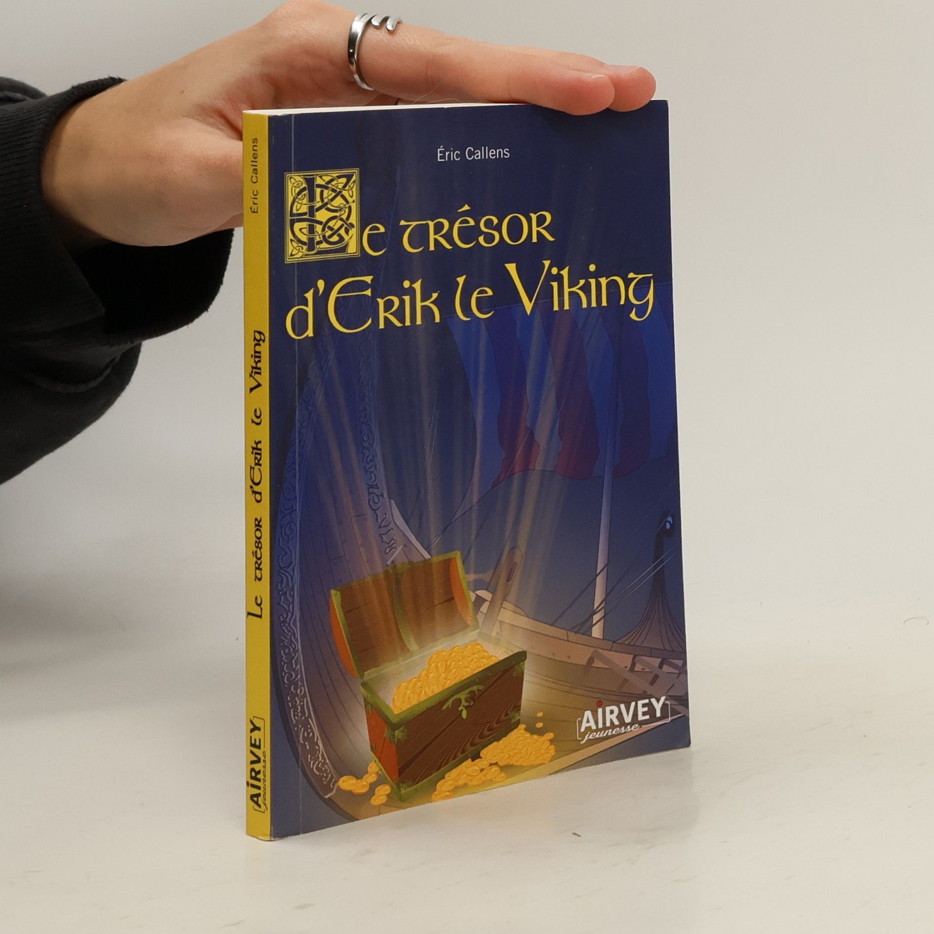 Le trésor d'Érik le Viking