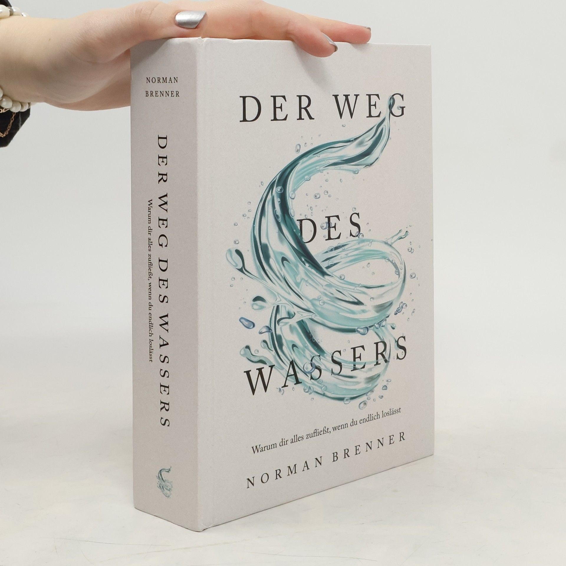 Norman Brenner Der Weg des Wassers