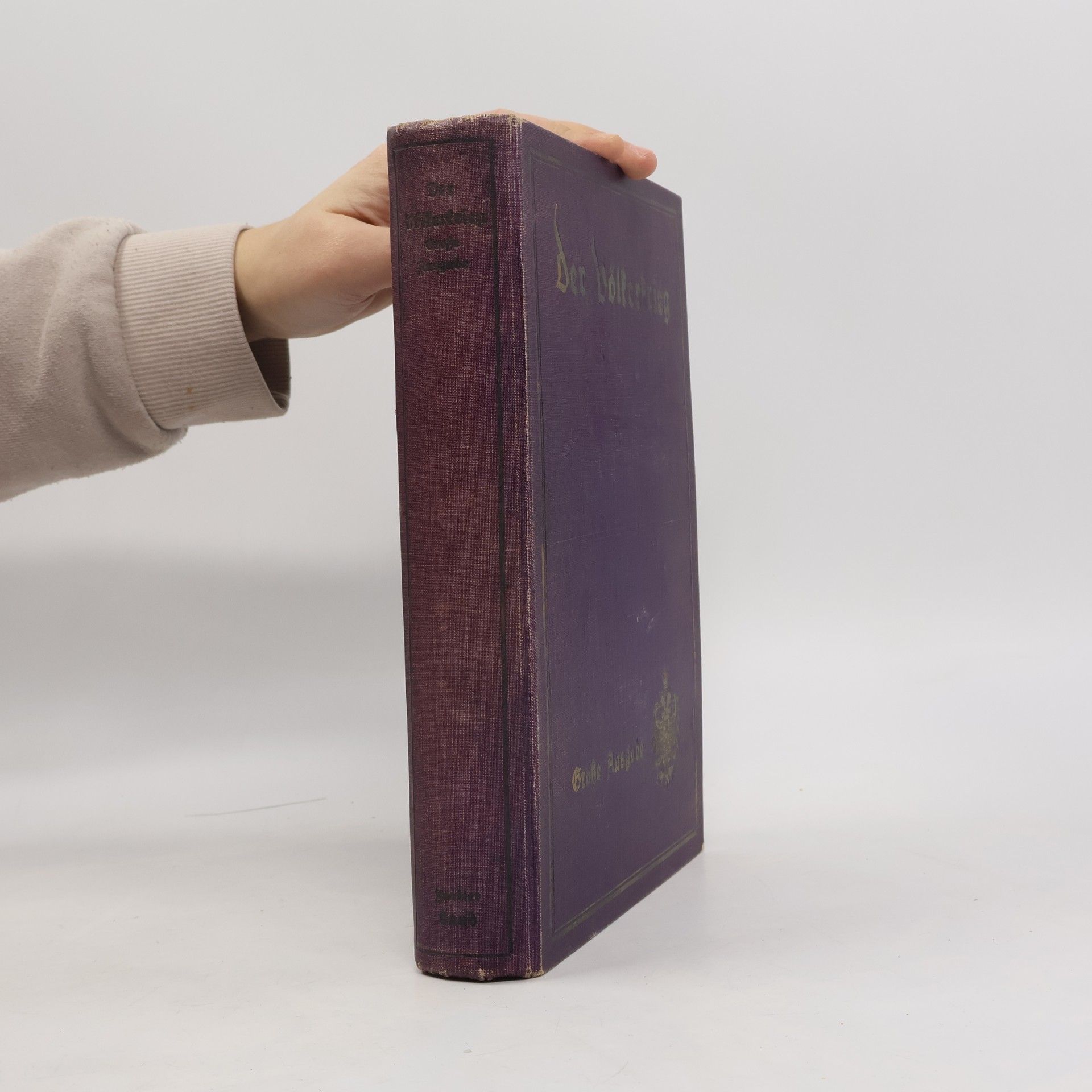 Casimir Hermann Baer Der Völkerkrieg 2