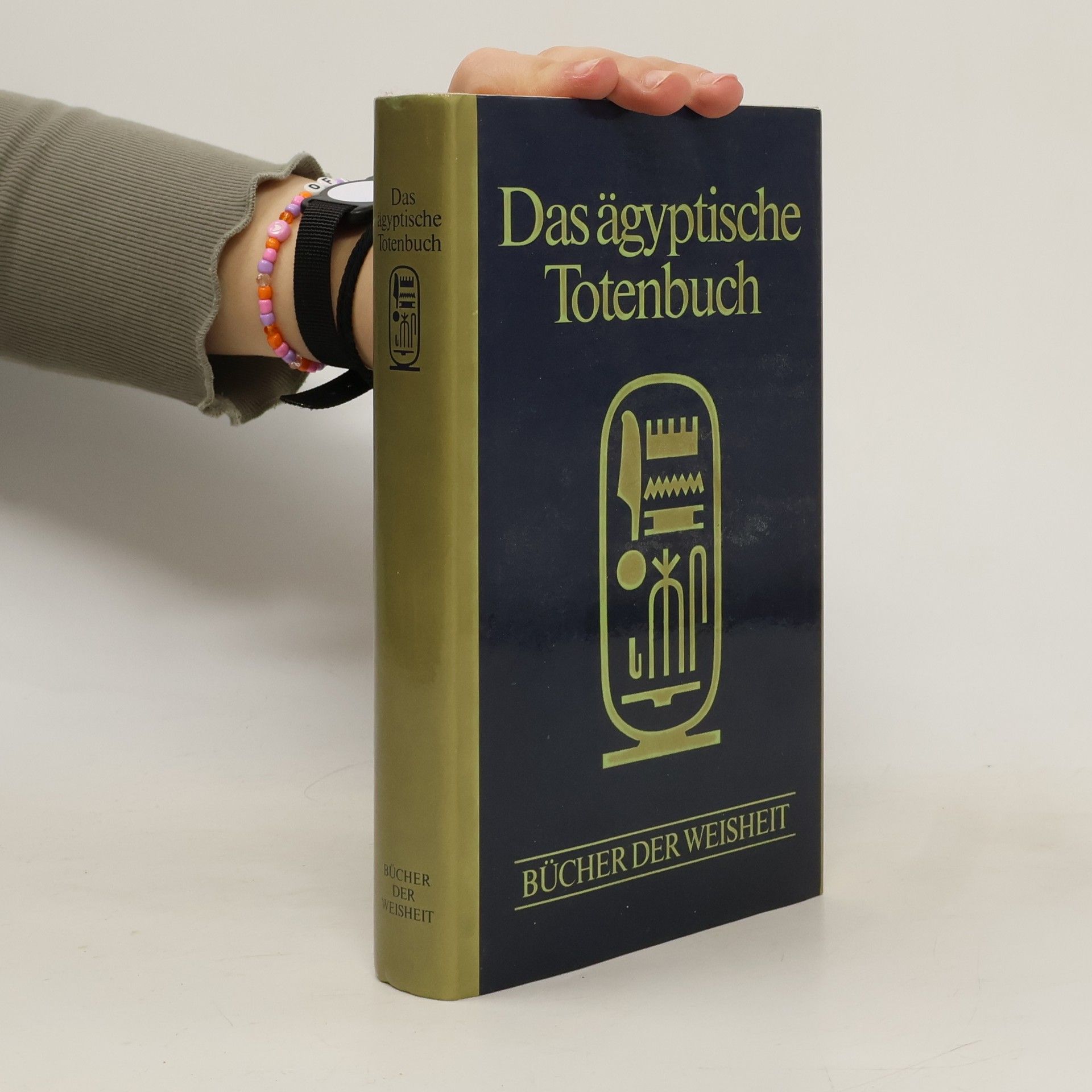 Autores varios Das ägyptische Totenbuch