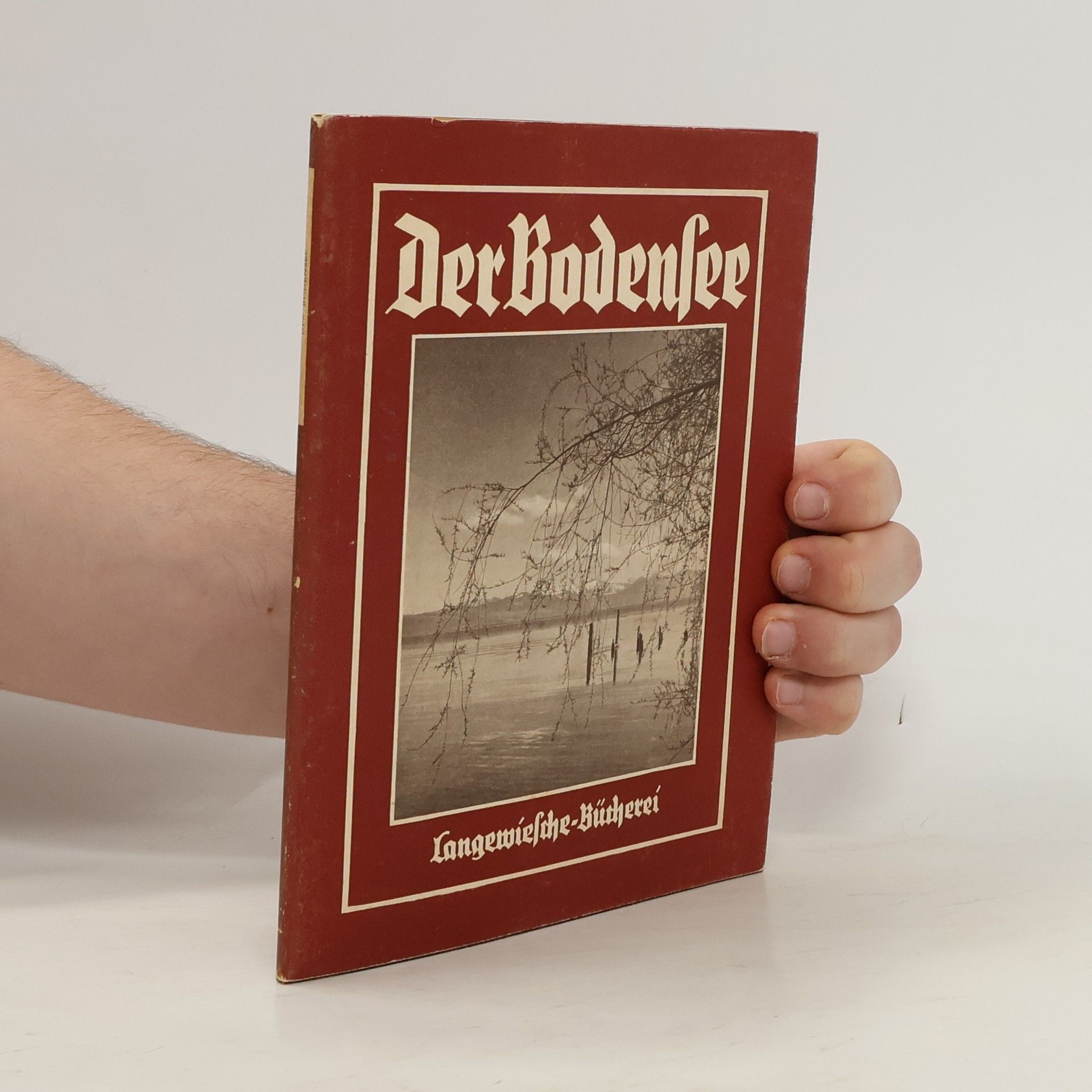 Wilhelm von Scholz Der Bodensee in 47 Bildern