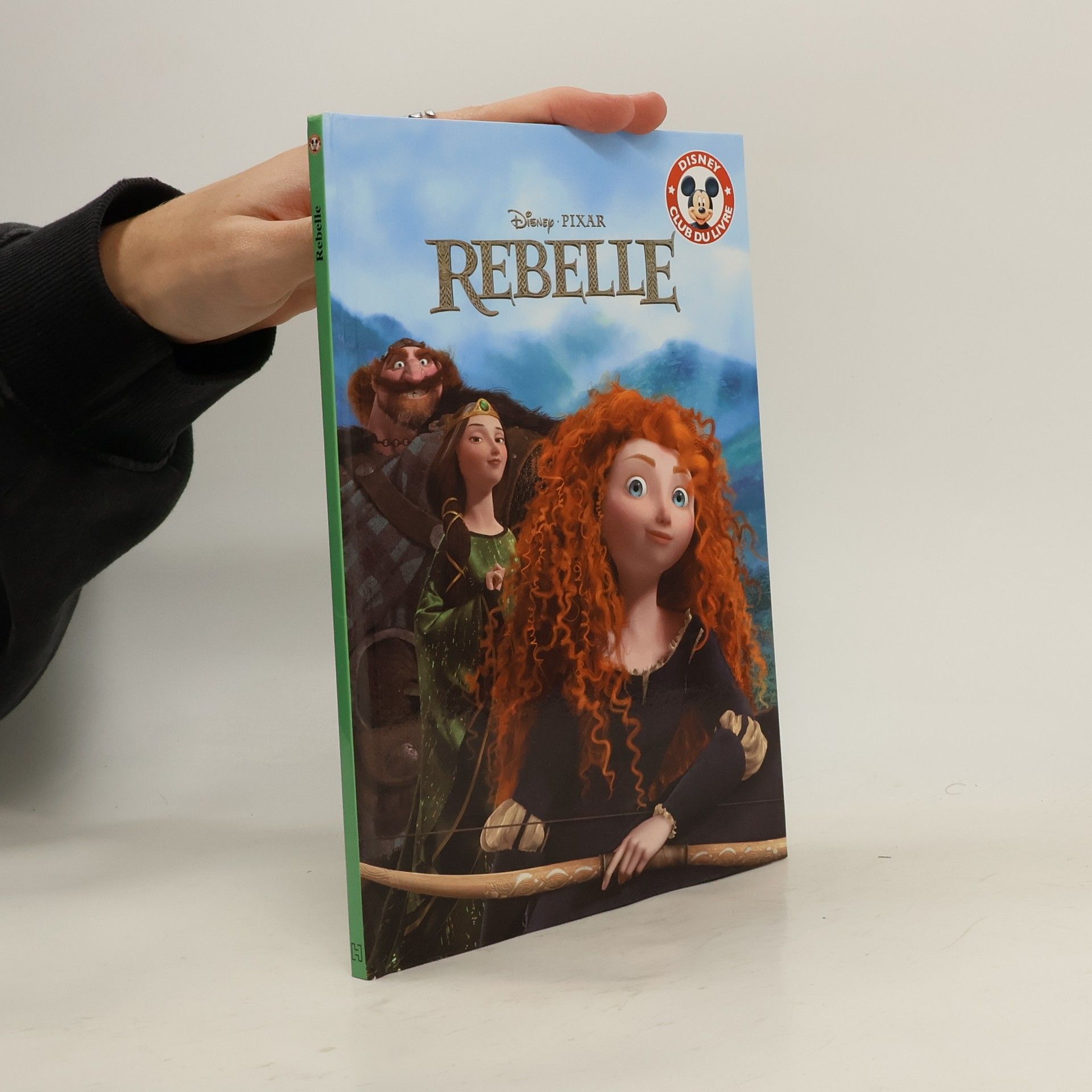 Collectif d'auteurs Rebelle