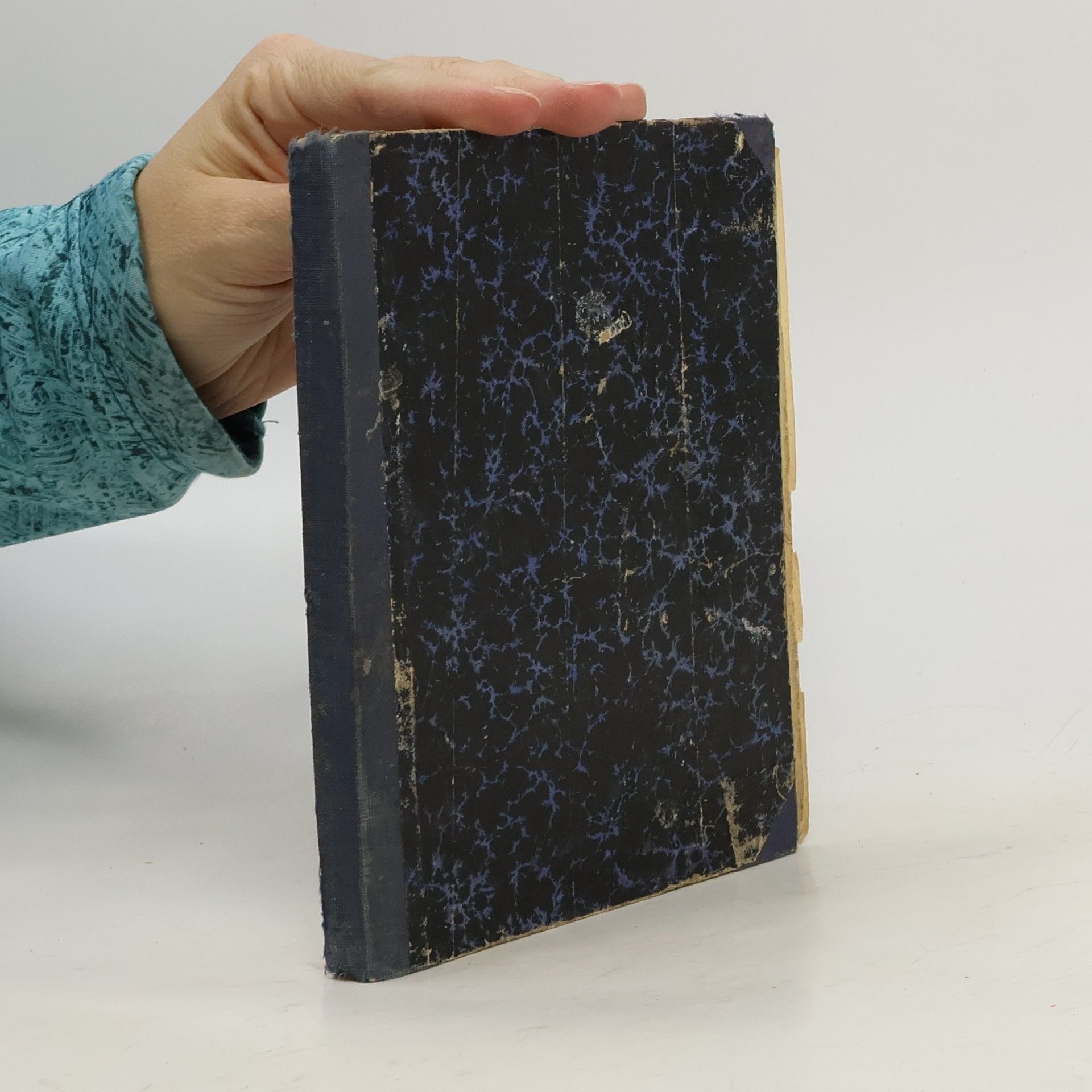 J. B. Bohuslavský Závet pustovníkov