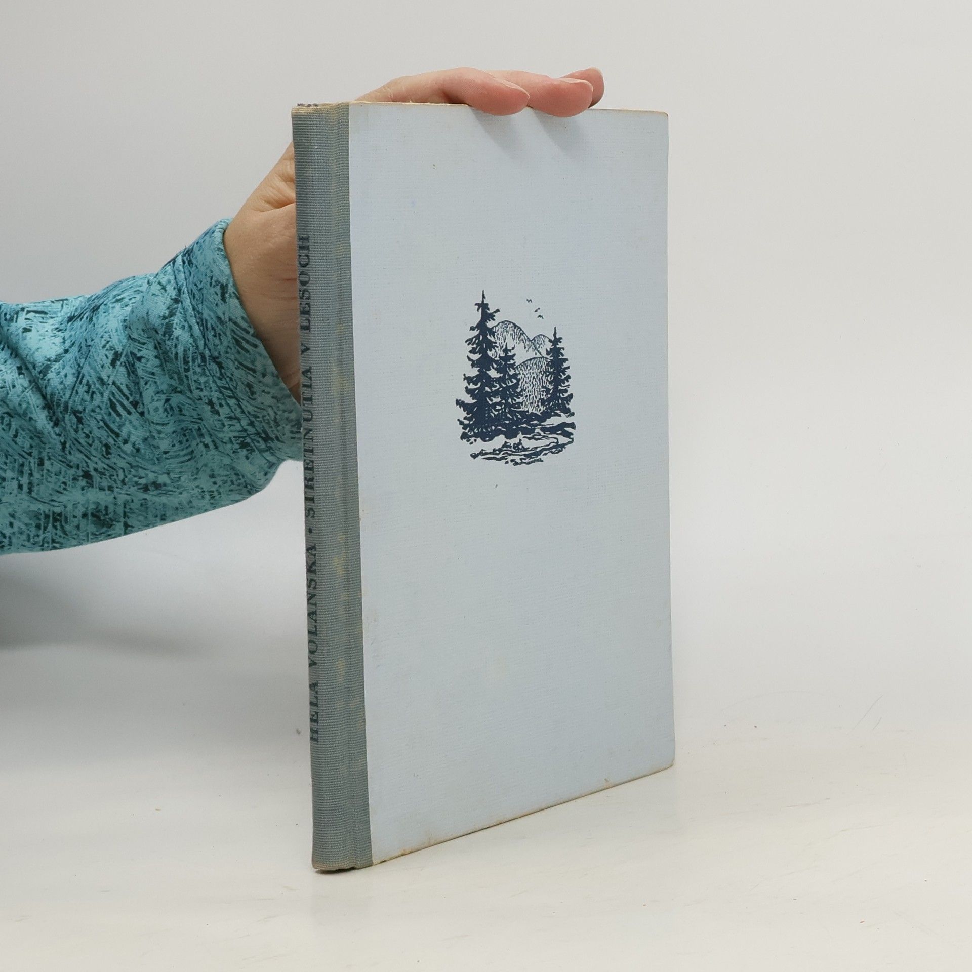 Hela Volanská Stretnutia v lesoch