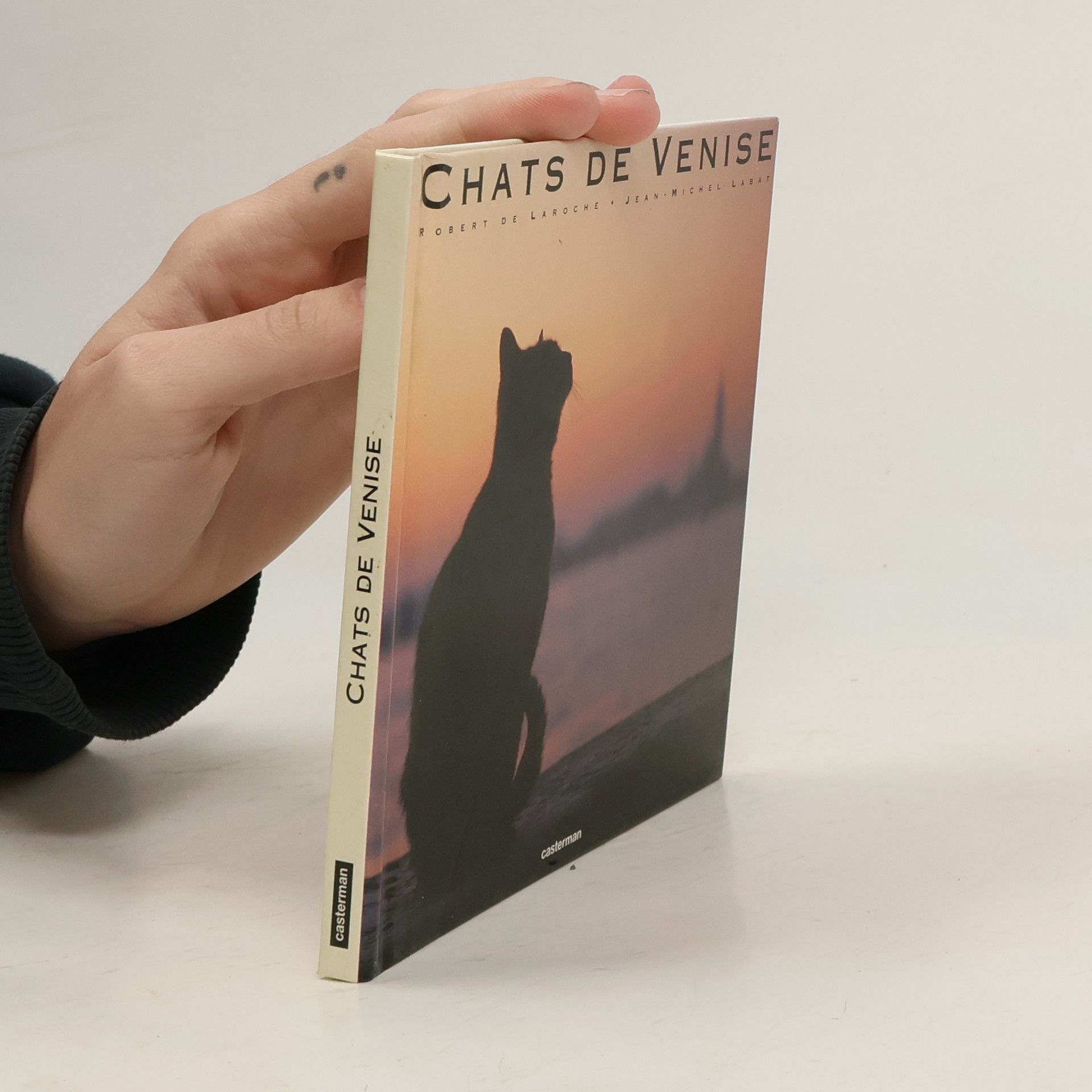 Jean Michel Labat Chats de Venise