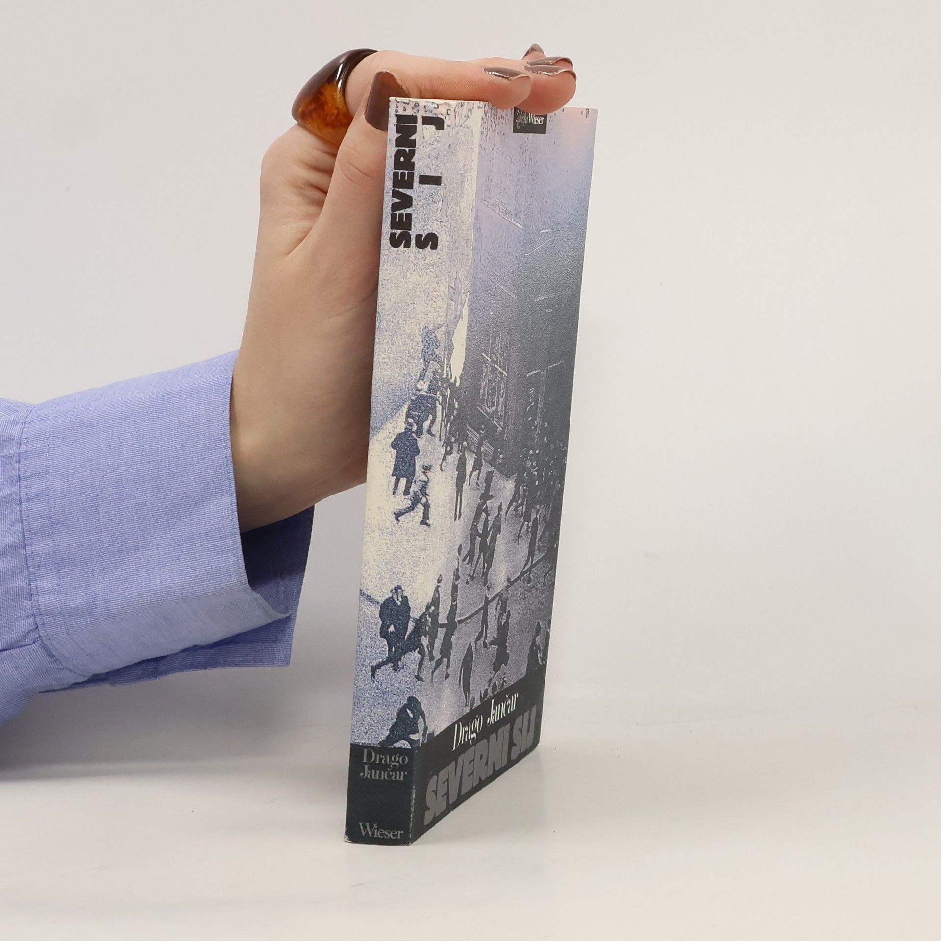 Drago Jančar Severni Sij