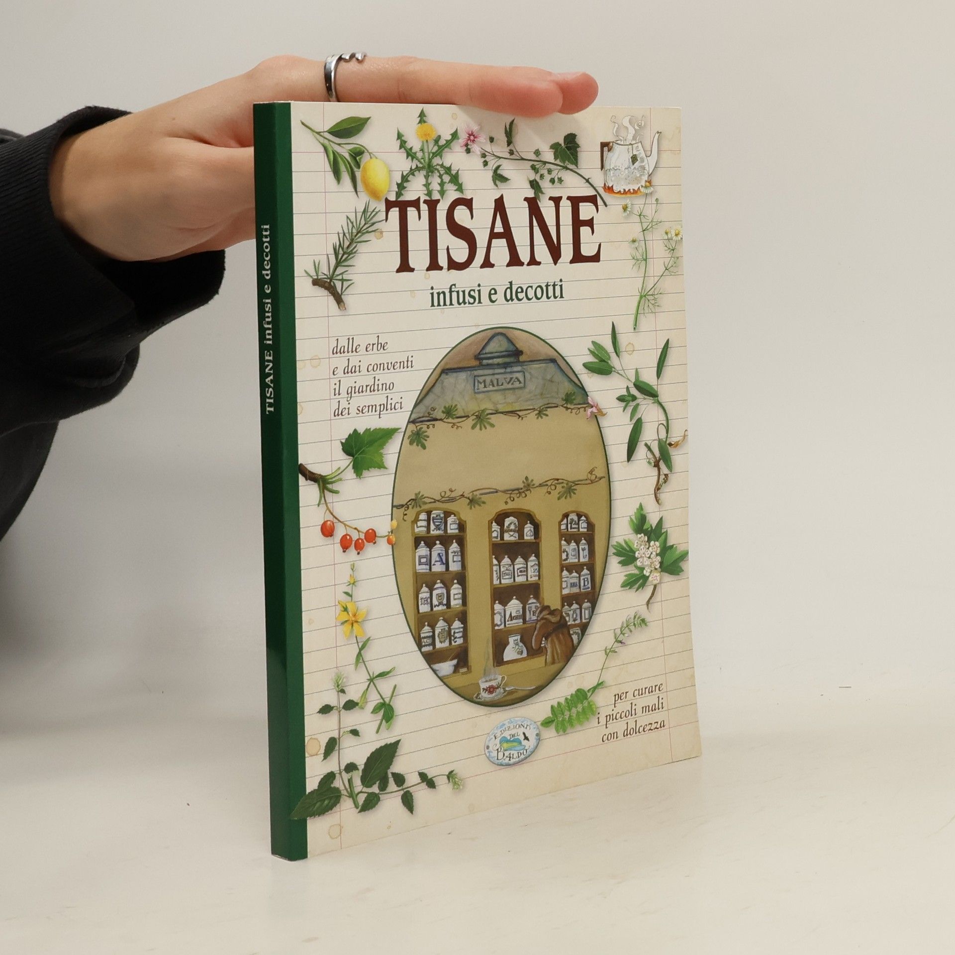 Autorenkollektiv Tisane infusi e decotti