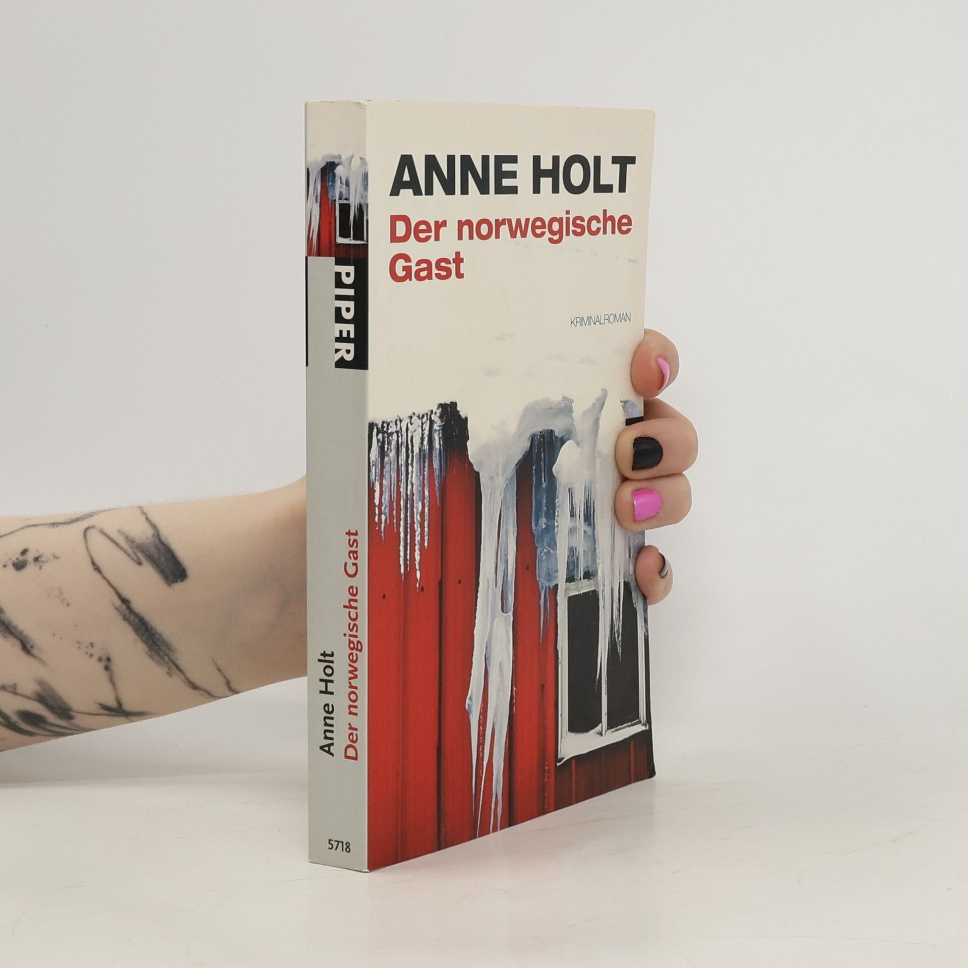 Anne Holt Der norwegische Gast