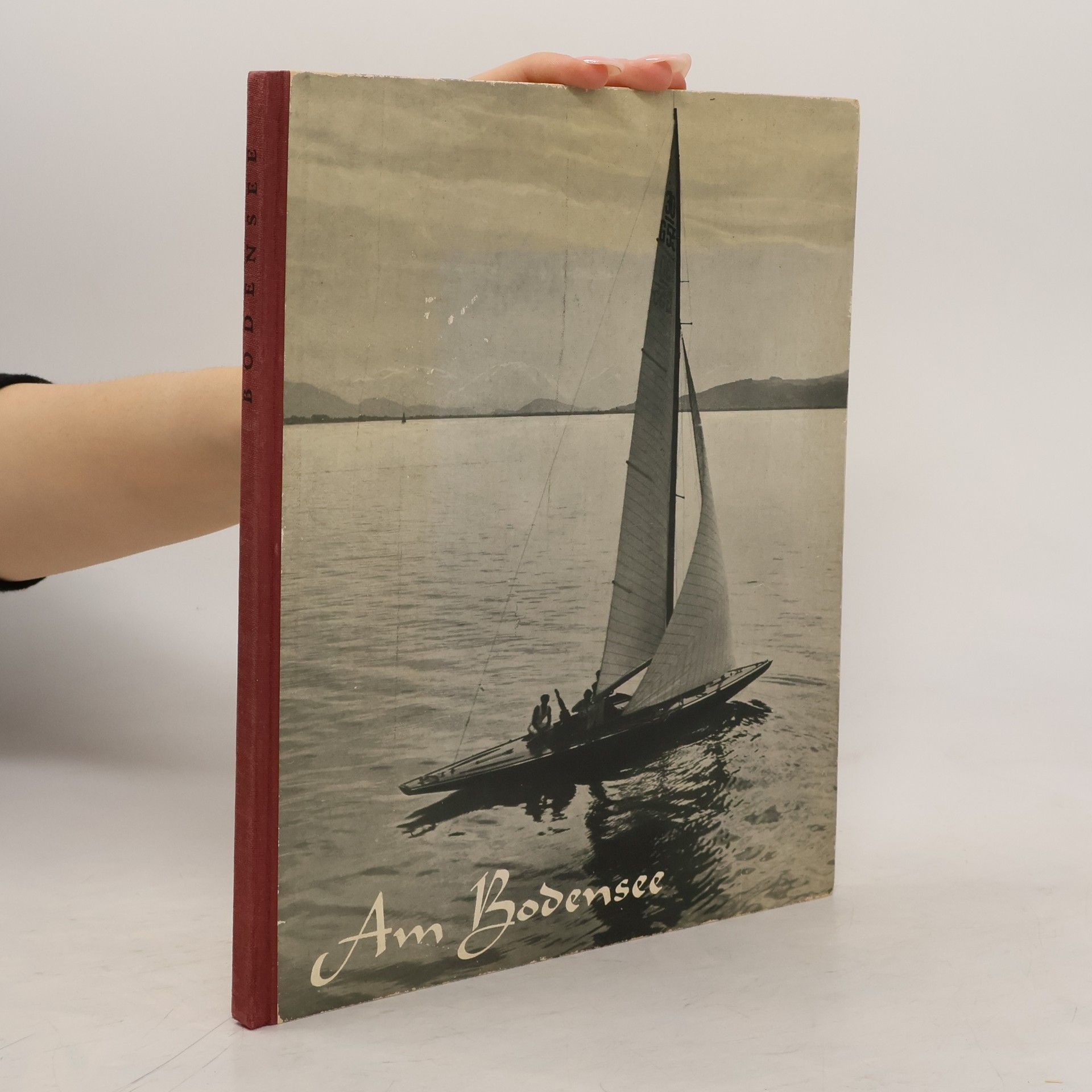 Autorenkollektiv Am Bodensee