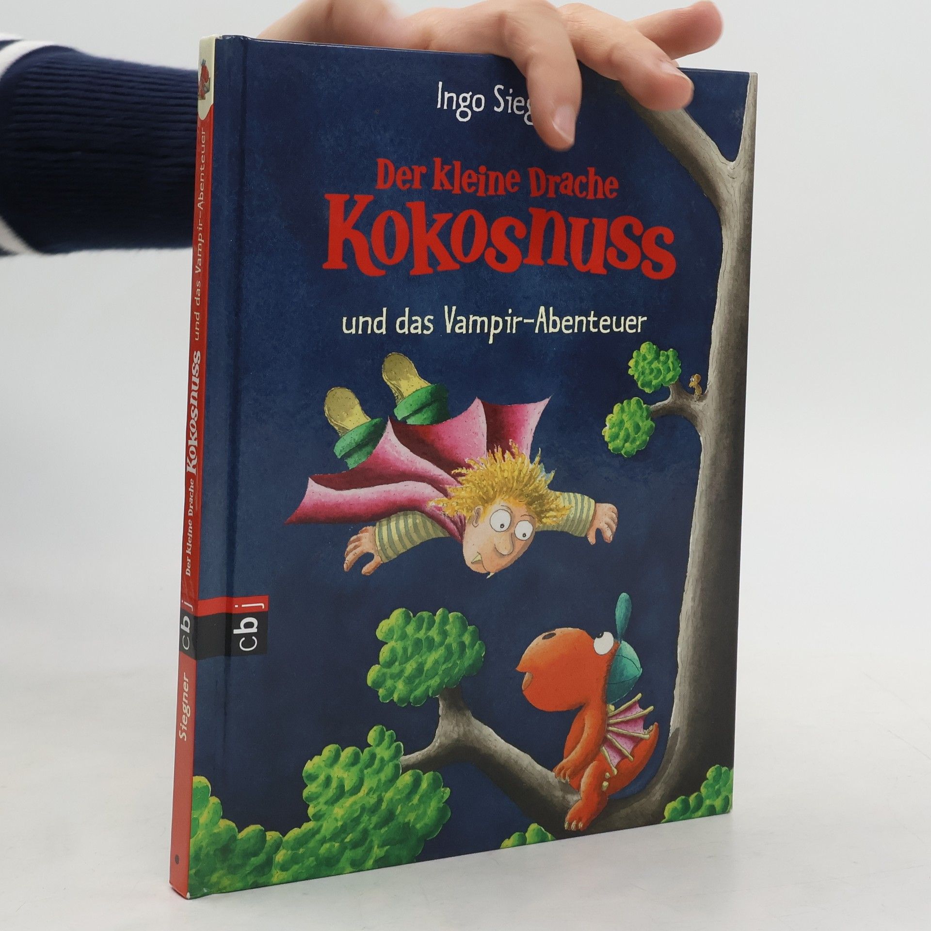 Ingo Seigner Der kleine Drache Kokosnuss und das Vampir-Abenteuer