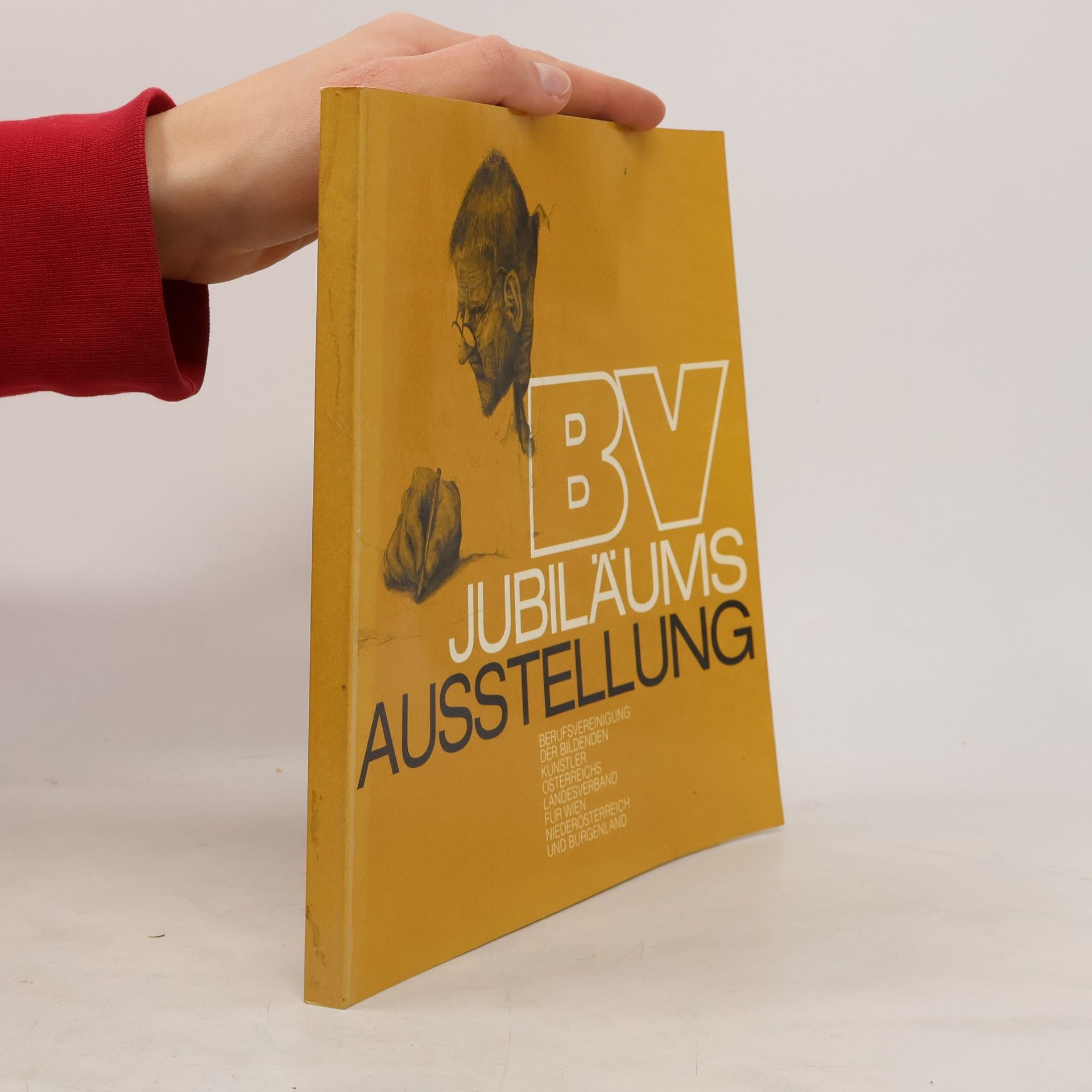 Kolektiv autorů BV Jubiläumsausstellung