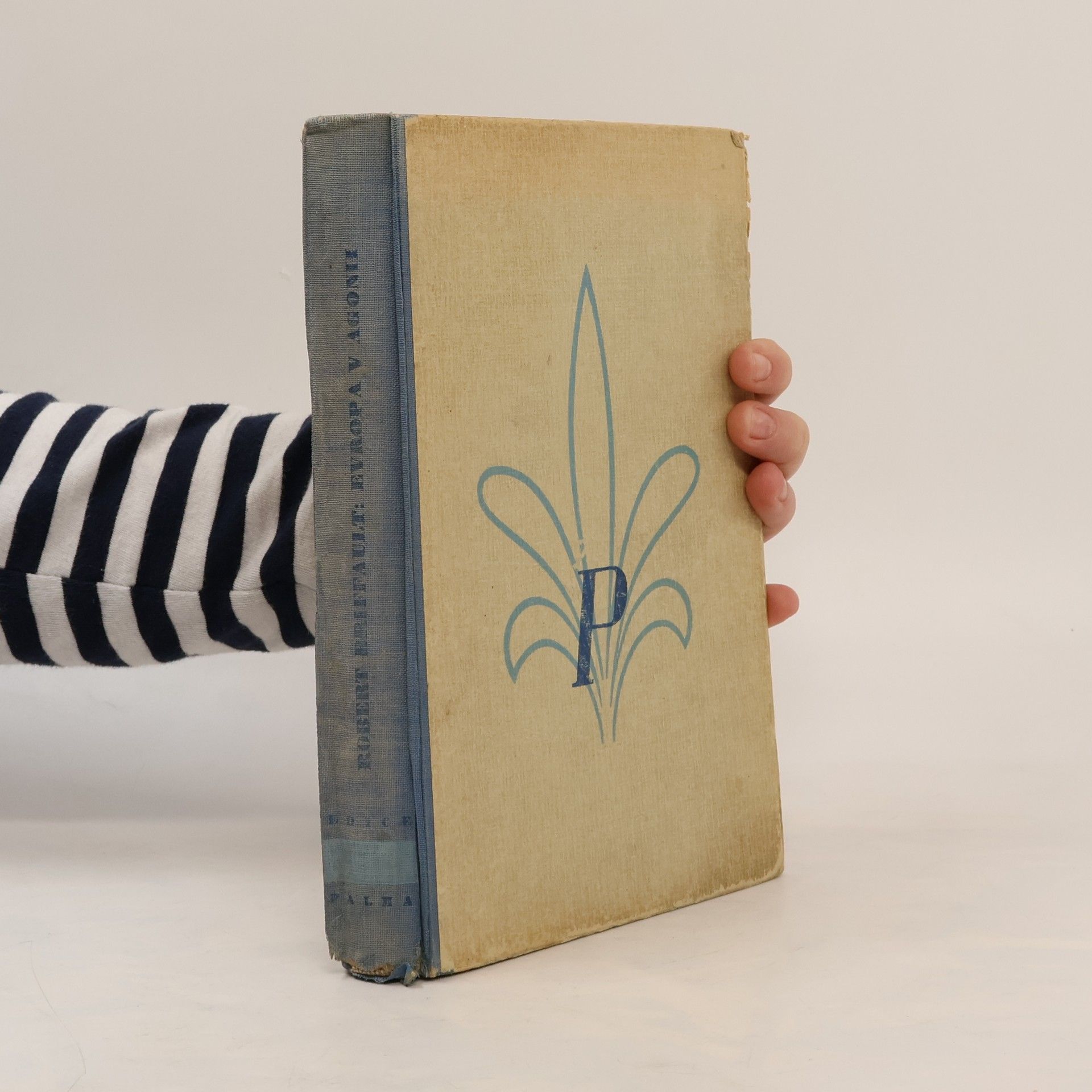 Robert Briffault Evropa v agonii