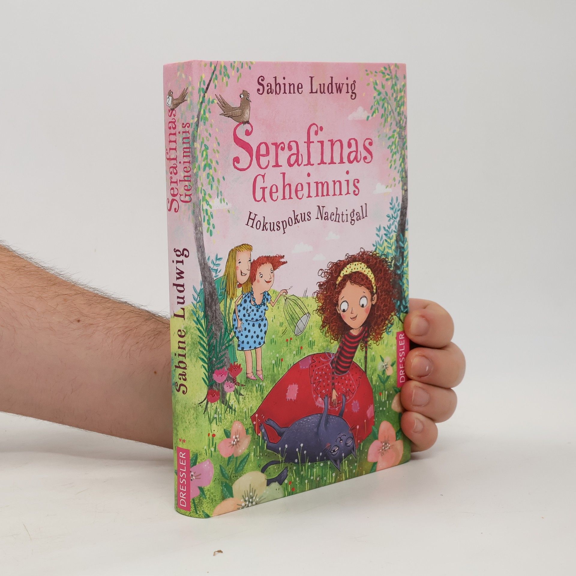 Sabine Ludwig-Szendi Serafinas Geheimnis - Hokuspokus Nachtigall