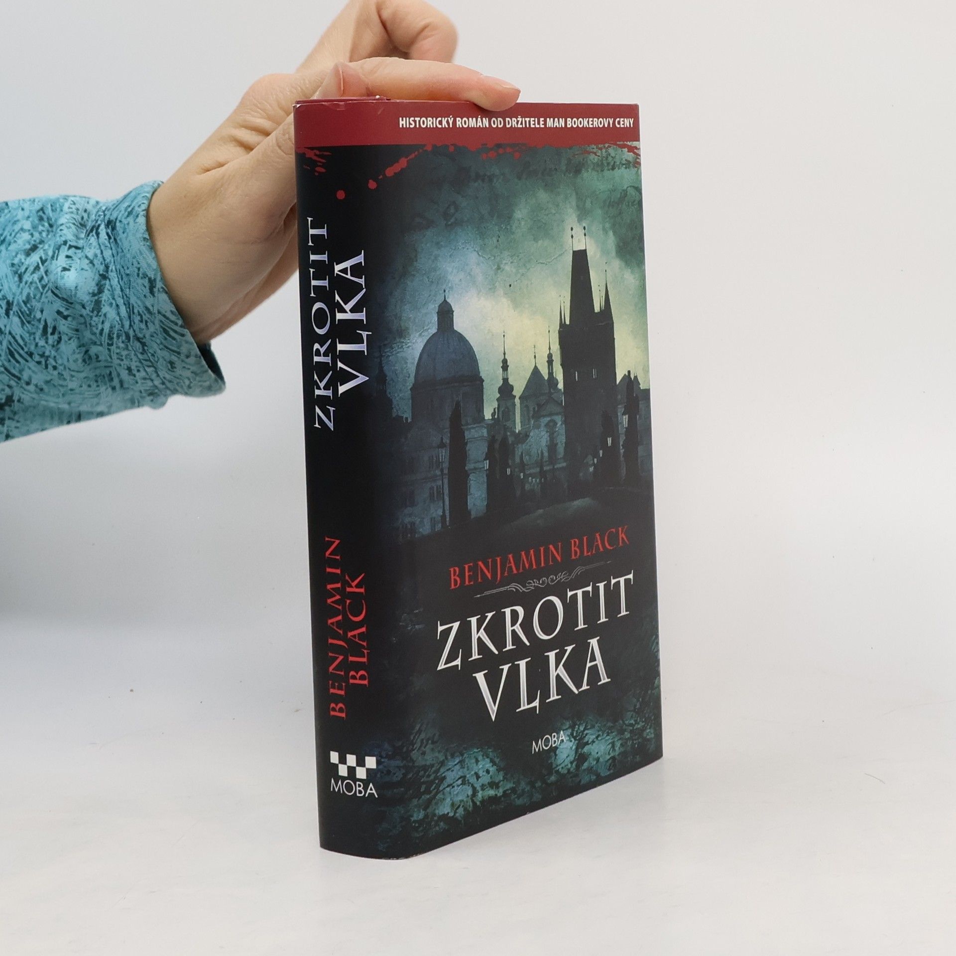 John Banville Zkrotit vlka