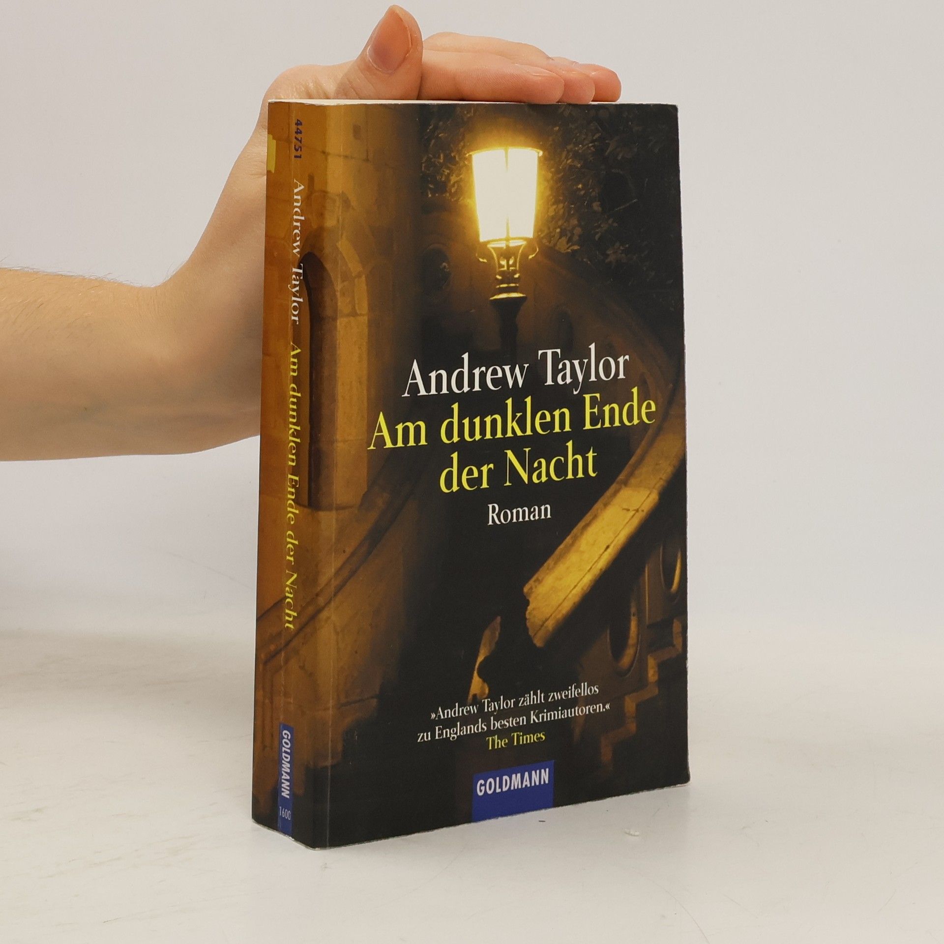 John Robert Taylor Am dunklen Ende der Nacht