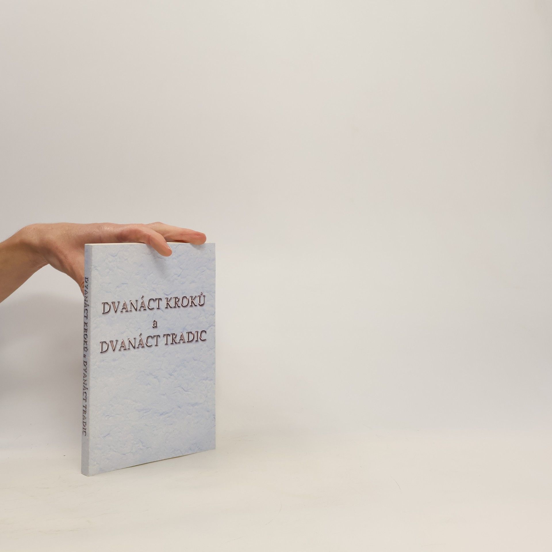Various authors Dvanáct kroků a dvanáct tradic