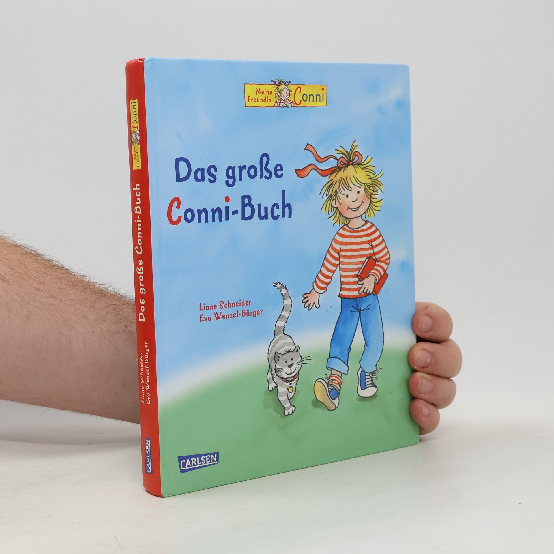 Liane Schneider Das große Conni-Buch