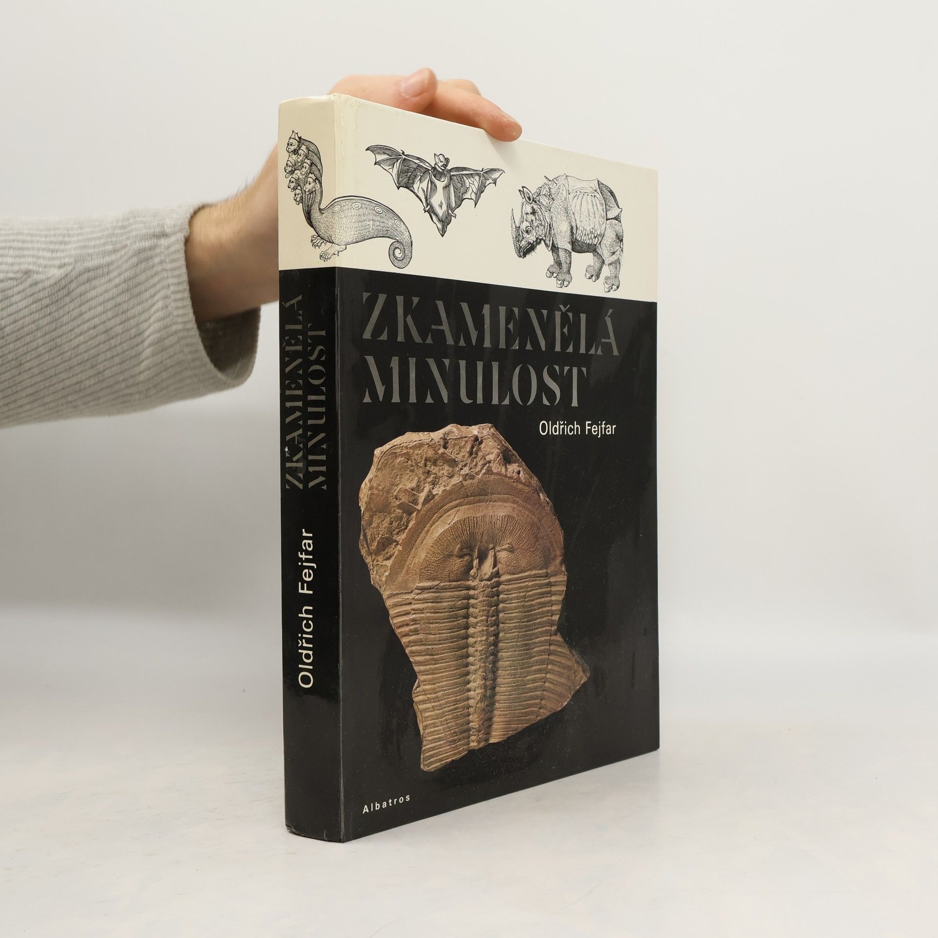 Zkamenělá minulost