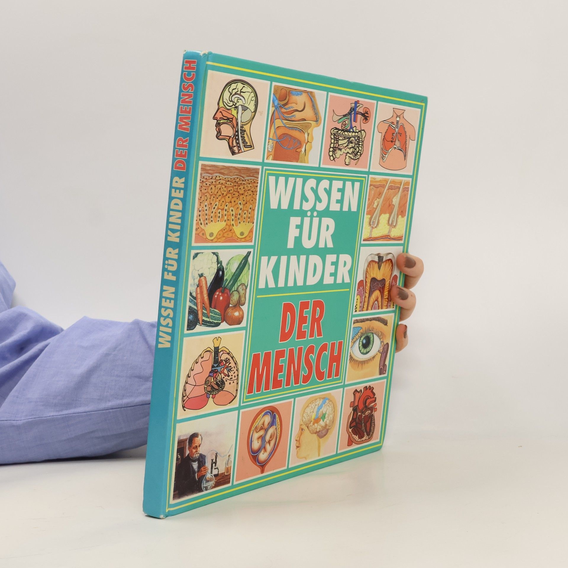 Wissen für Kinder. Der Mensch