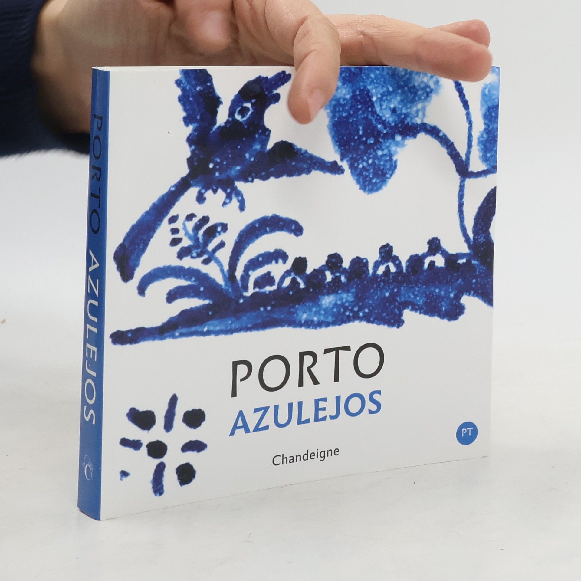 Autorenkollektiv Porto Azulejos