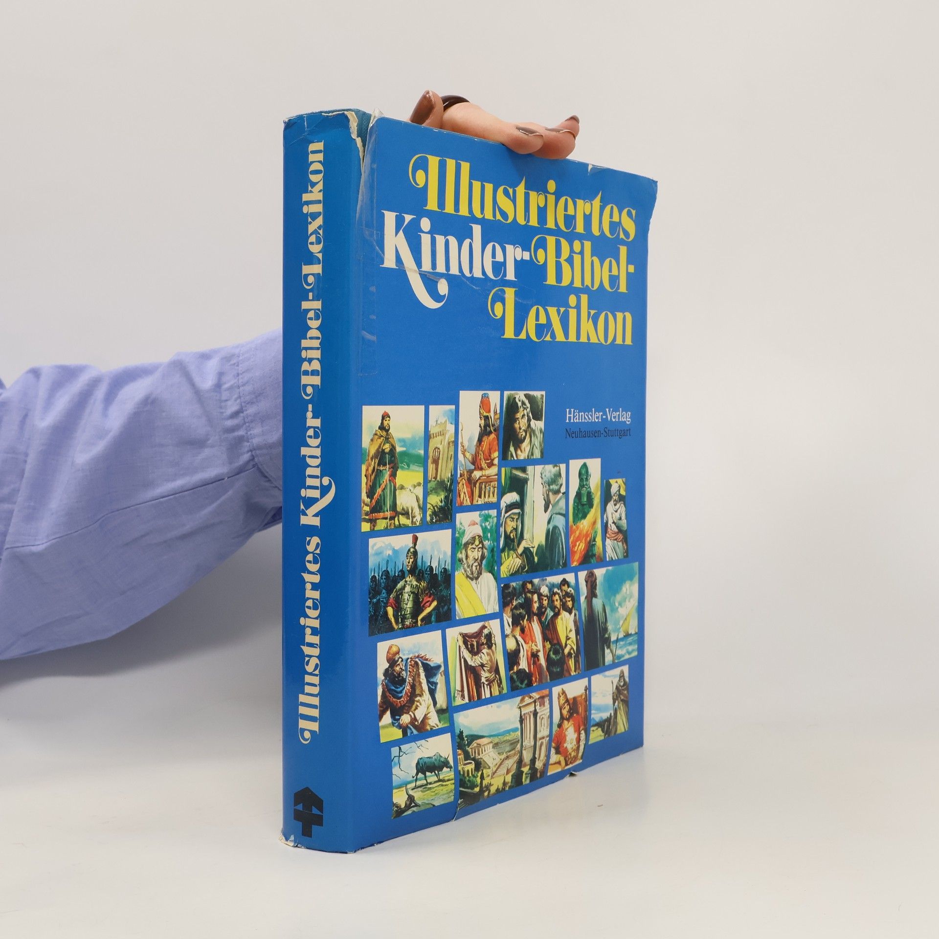 Kolektív autorov Illustriertes Kinder-Bibel-Lexikon