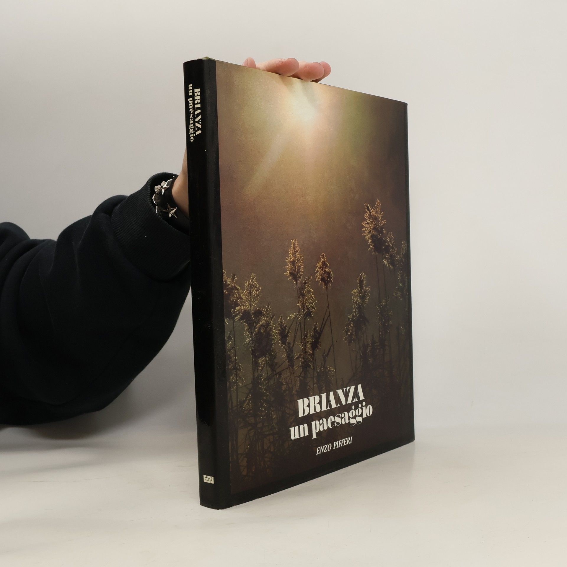 Brianza un paesaggio