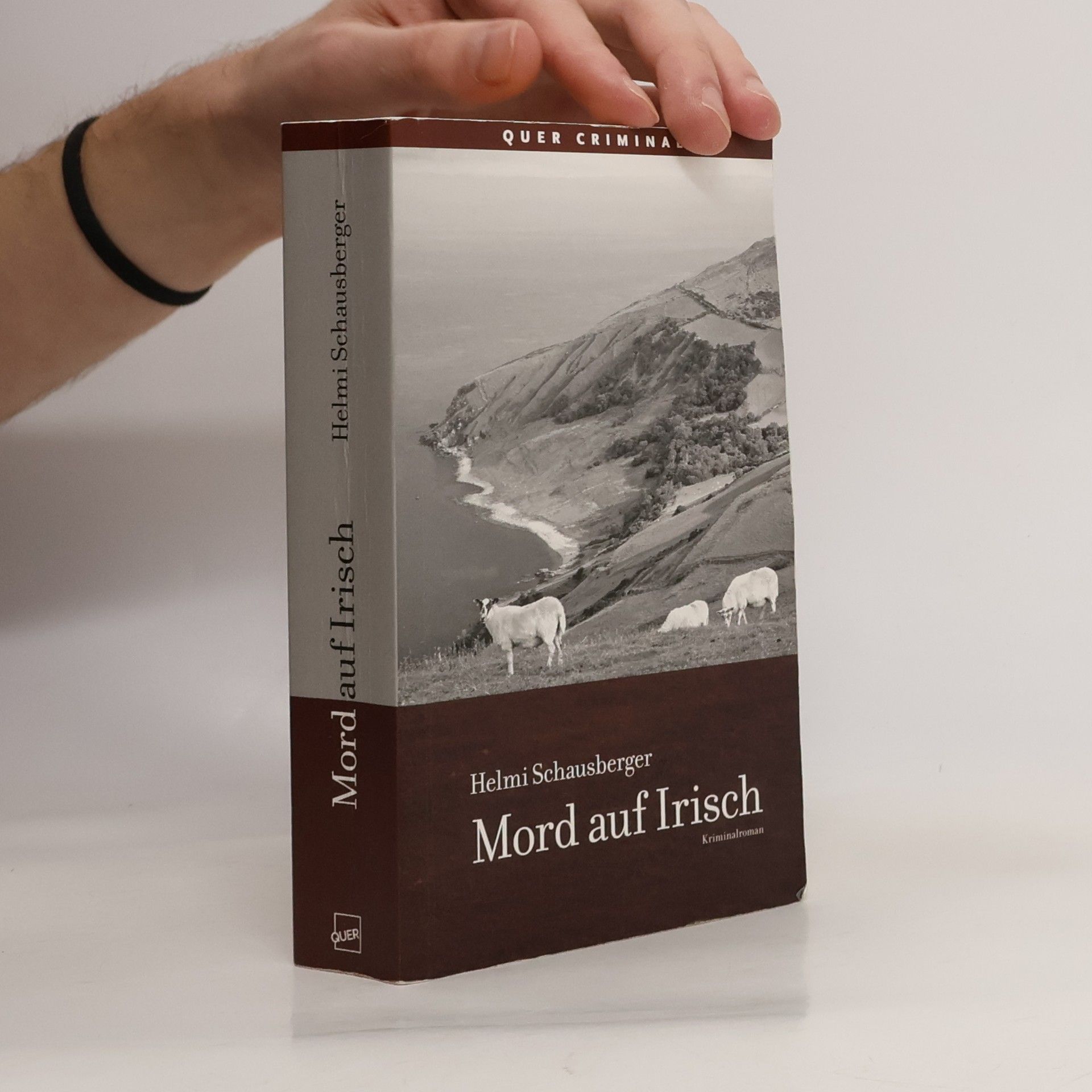 Helmi Schausberger Mord auf Irisch
