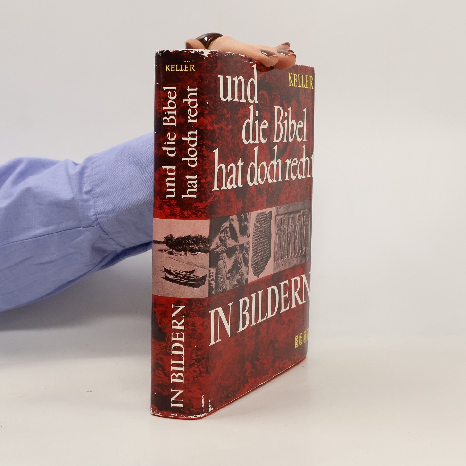 Werner Keller Und die Bibel hat doch recht in Bildern