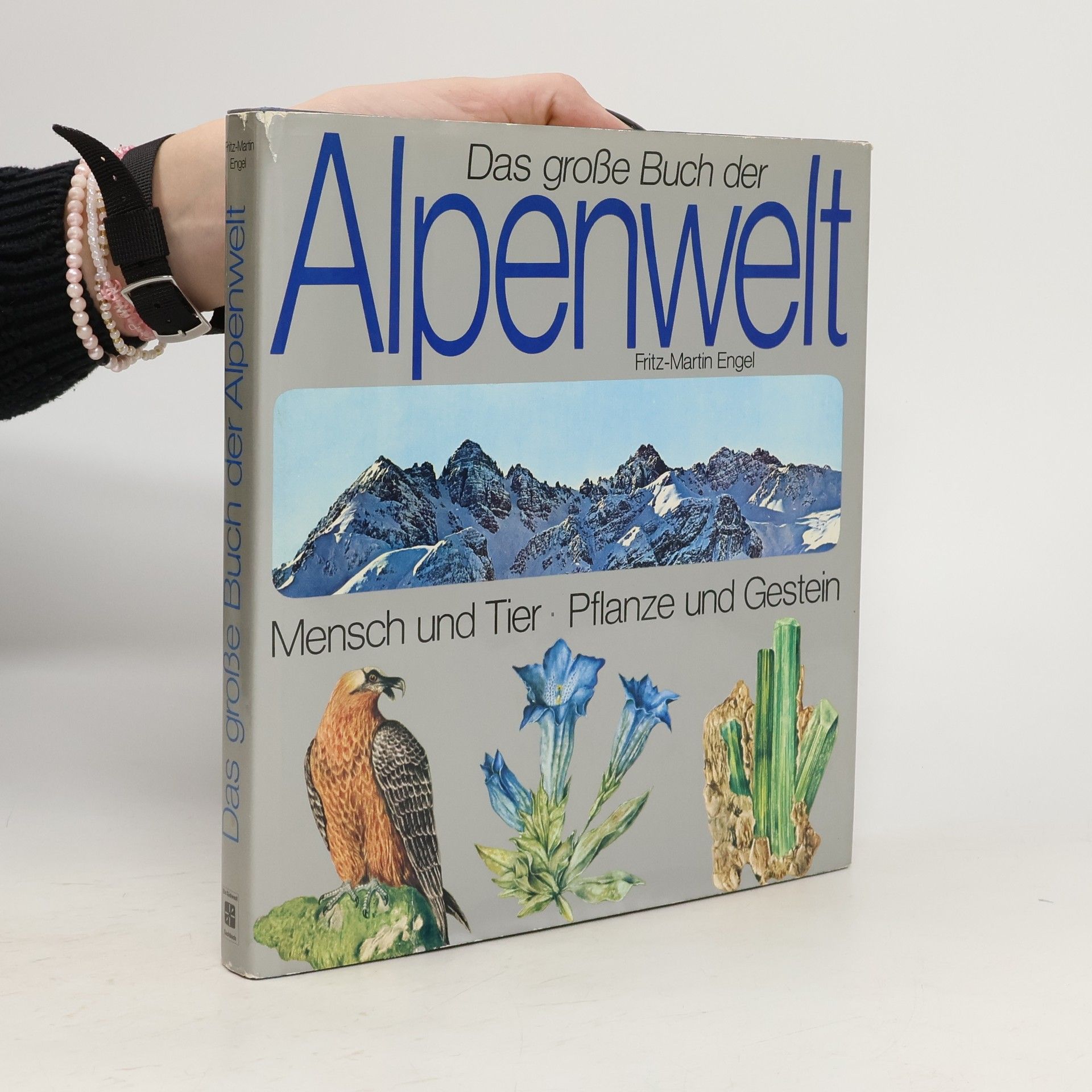 Fritz-Martin Engel Das grosse Buch der Alpenwelt