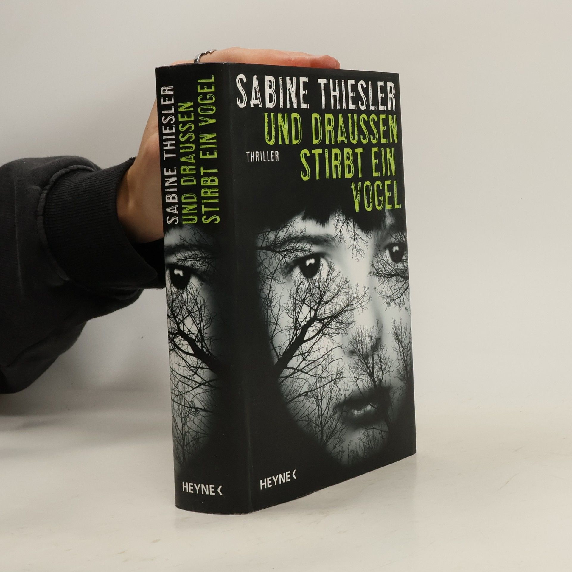 Sabine Thiesler Und draußen stirbt ein Vogel